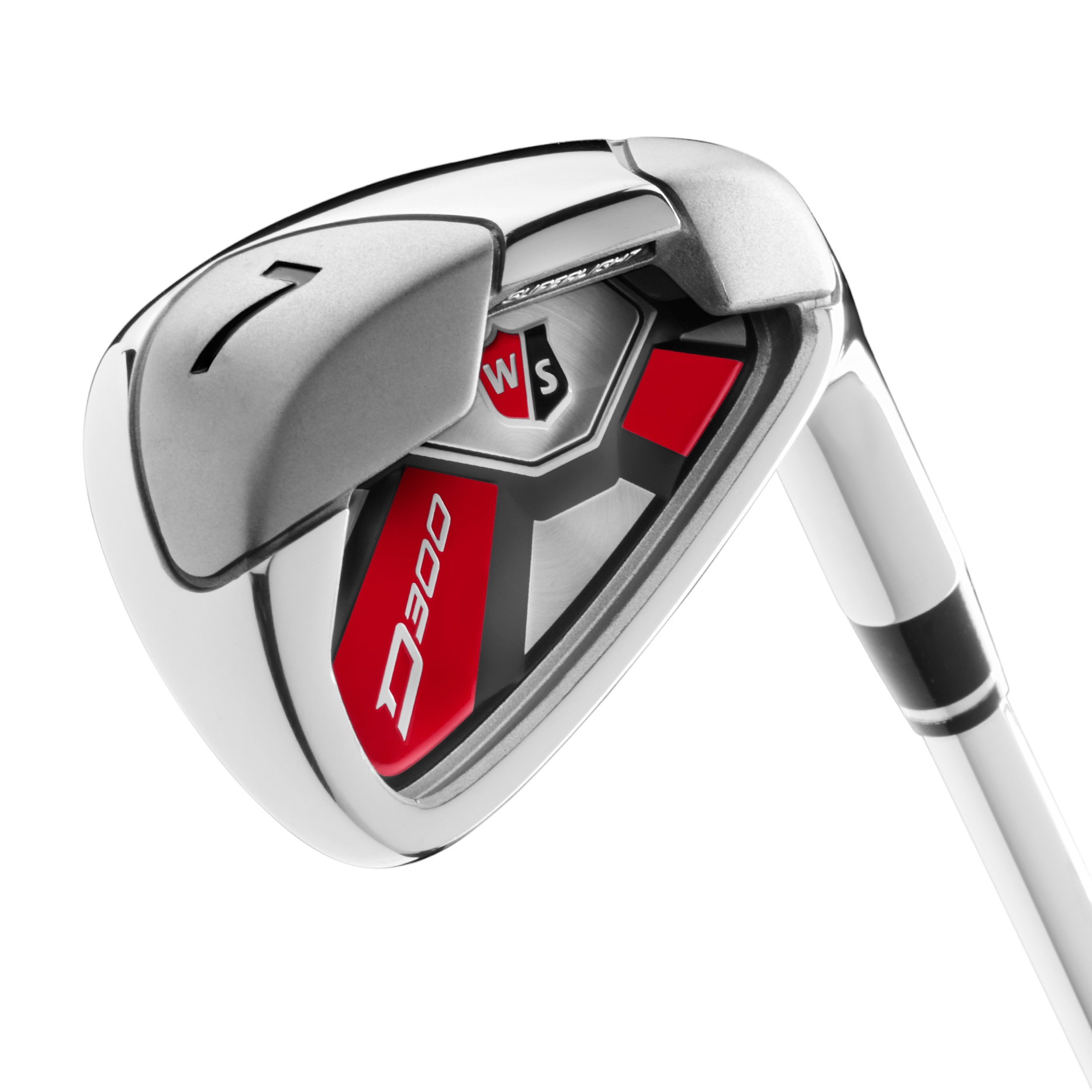 D300 SL Irons w/ Steel Shafts