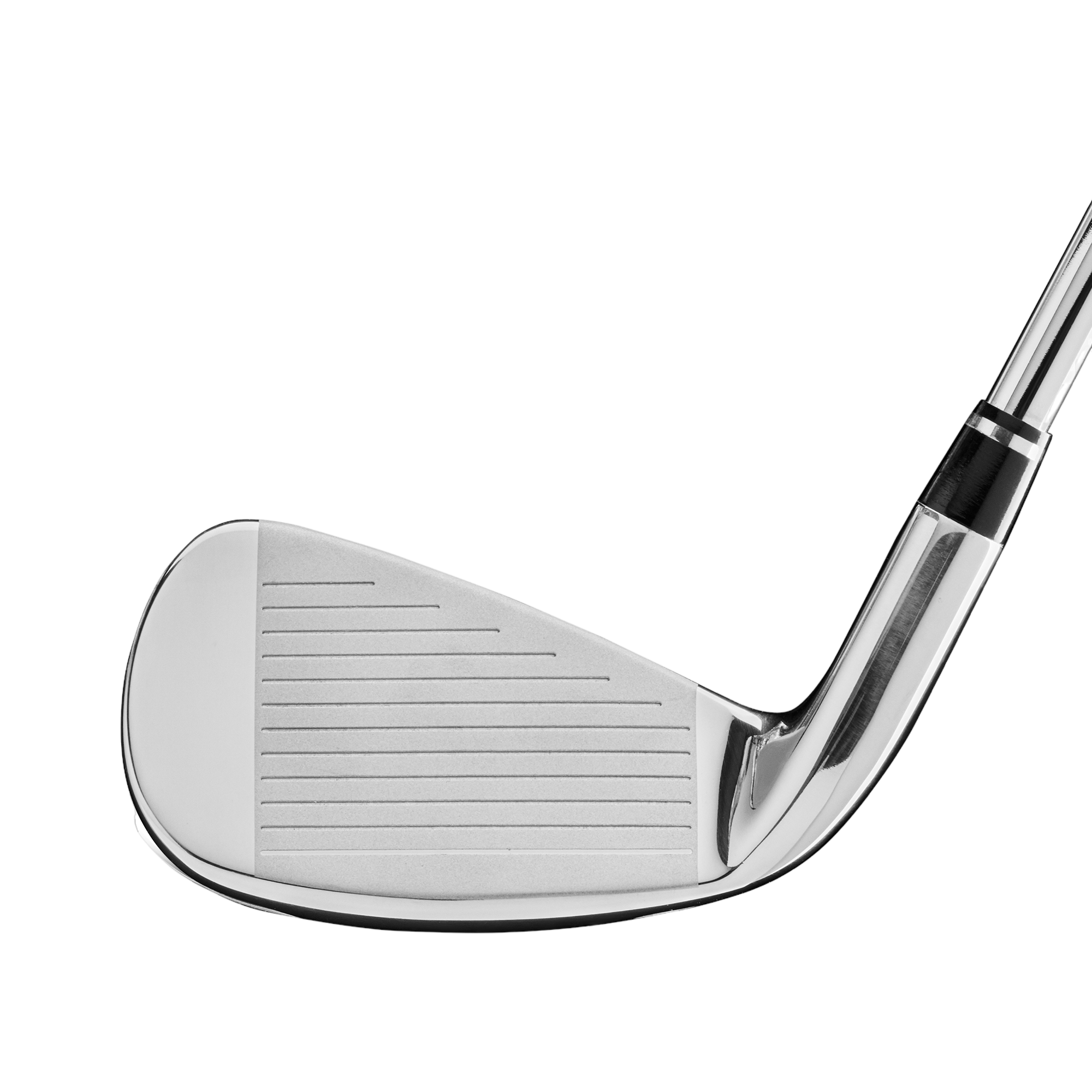 D300 SL Irons w/ Steel Shafts