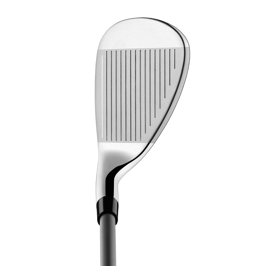 RBZ Speedlite Complete Set w/ Steel Shafts