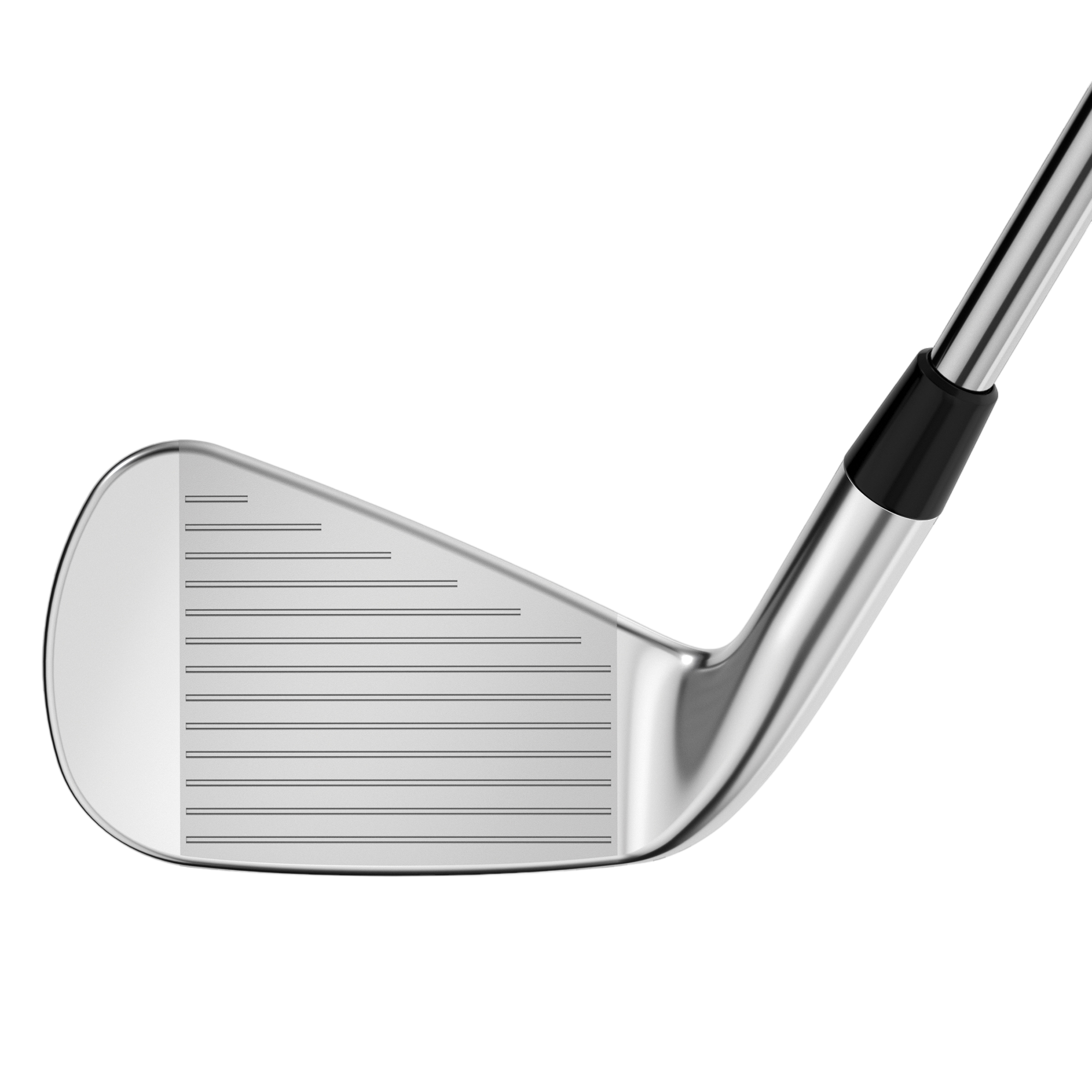 Apex Pro Irons w/ Steel Shafts