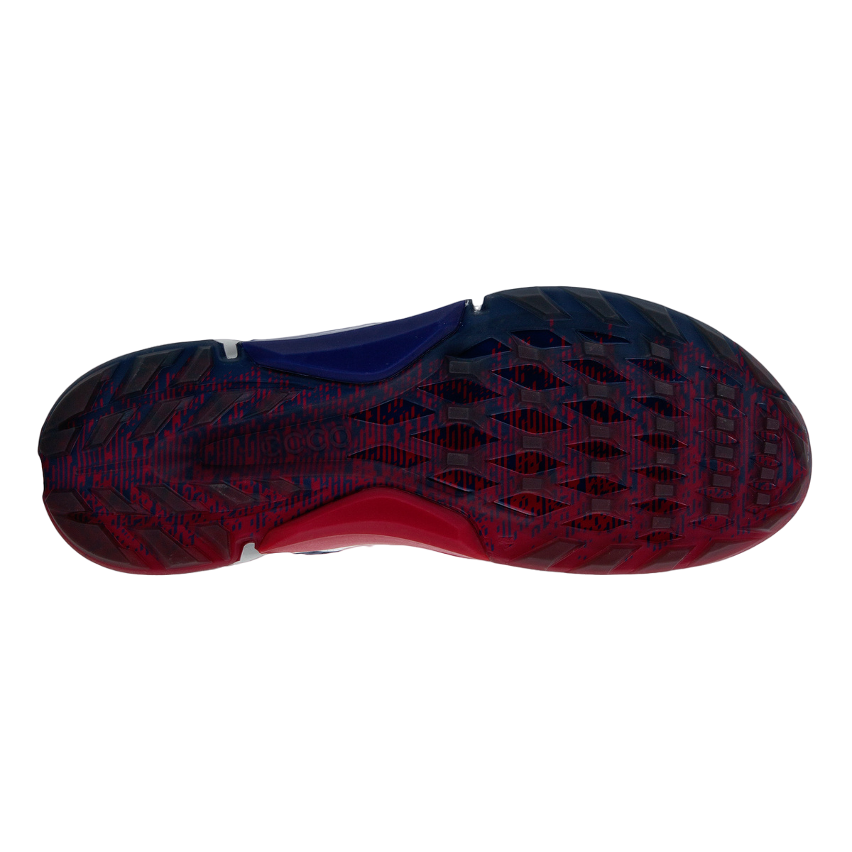 BIOM H4 BOA Men's Golf Shoe