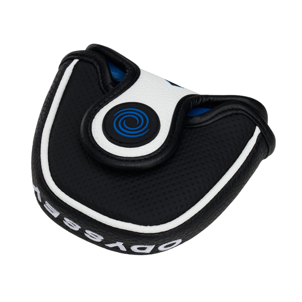 2-Ball Ten Arm Lock Tour Lined Putter