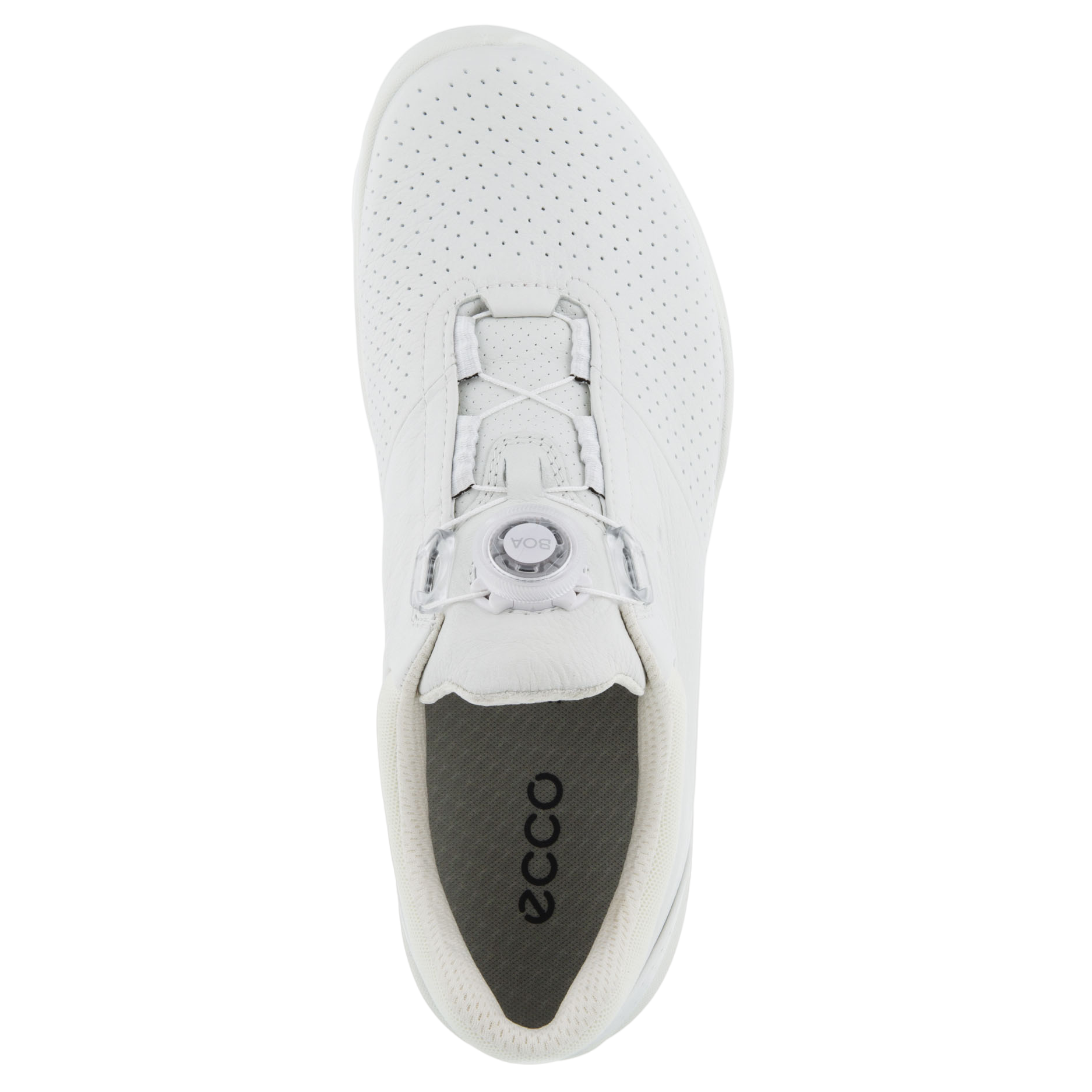 BIOM Hybrid 3 BOA Men's Golf Shoe