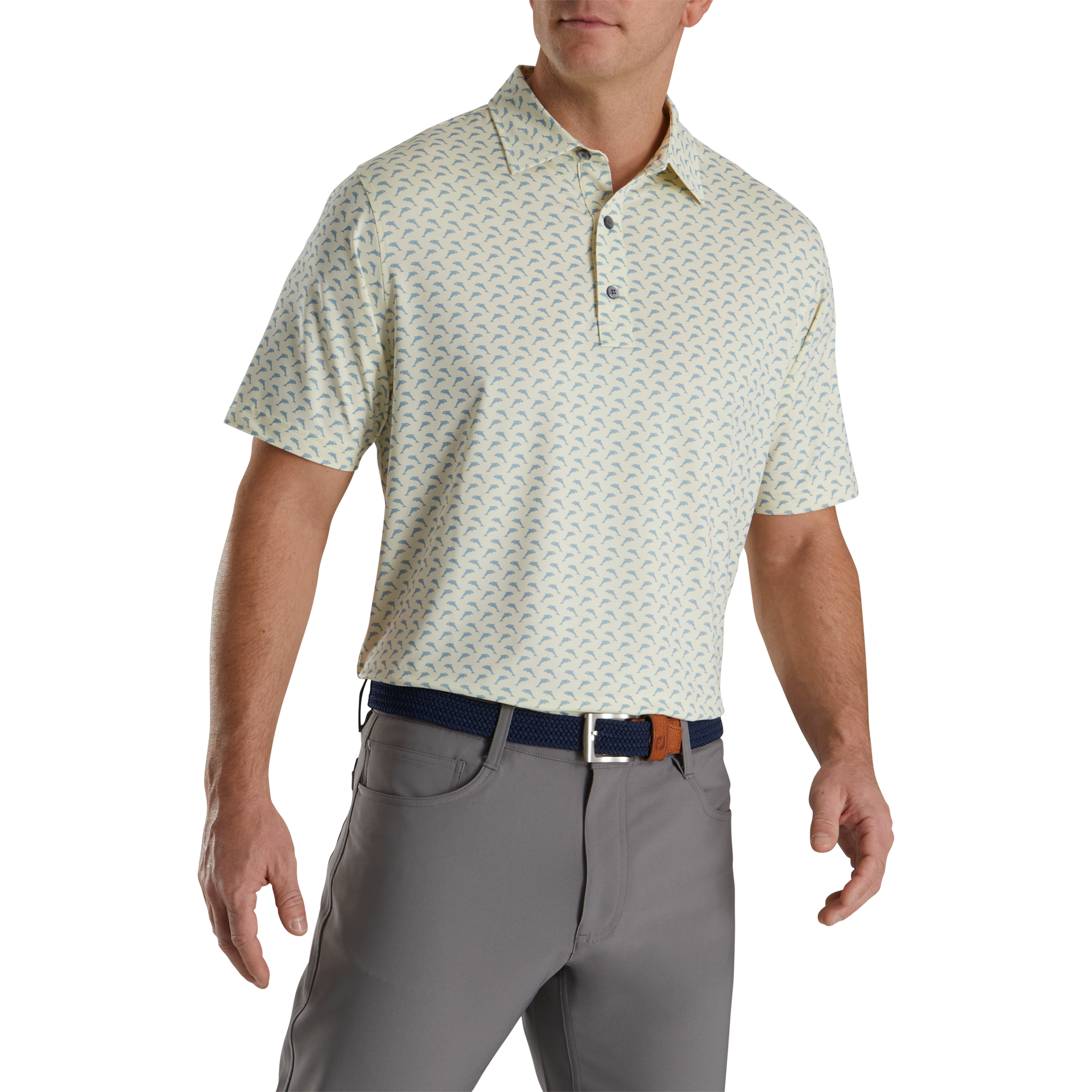 Lisle Leaping Dolphins Print Self Collar