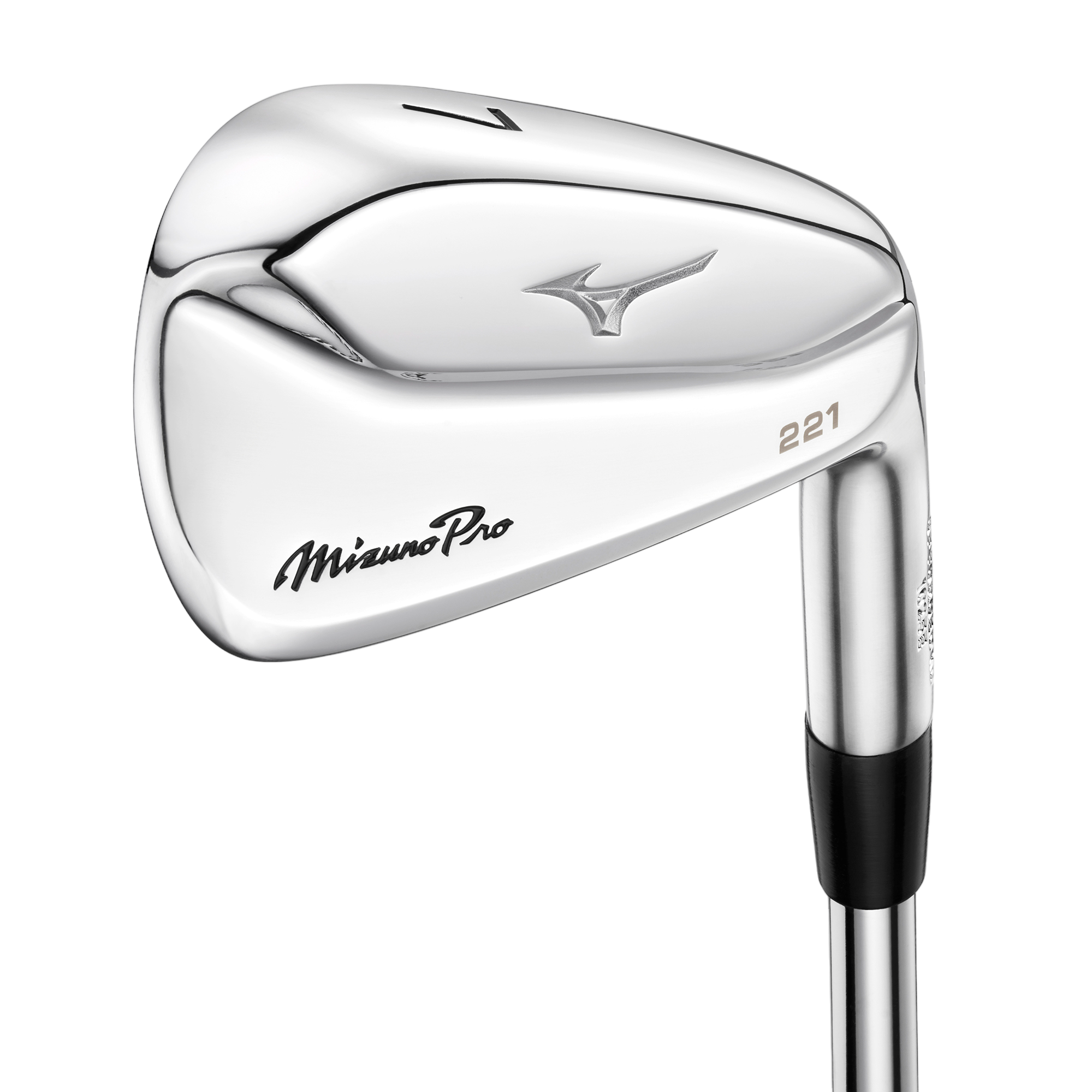Mizuno Pro 221