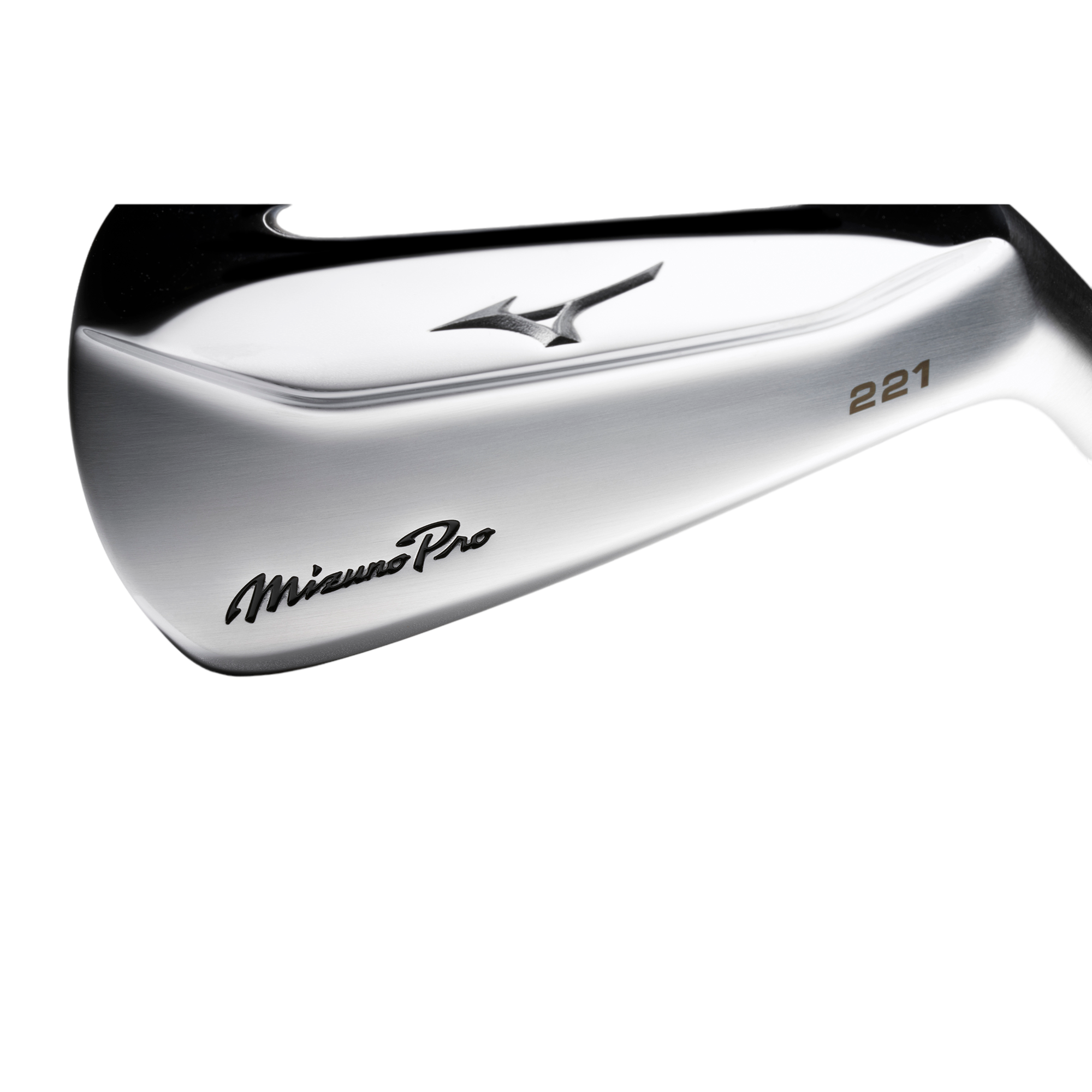 Pro 221 Irons w/ Steel Shafts