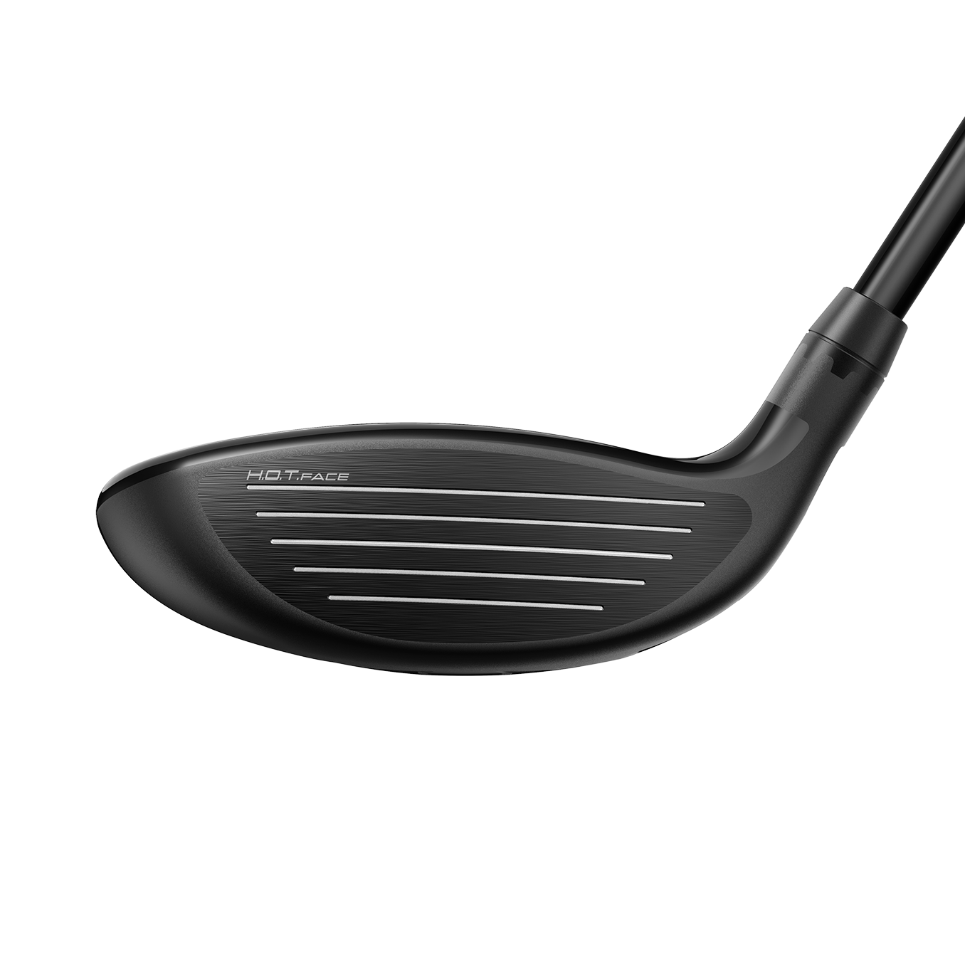 LTDx Fairway