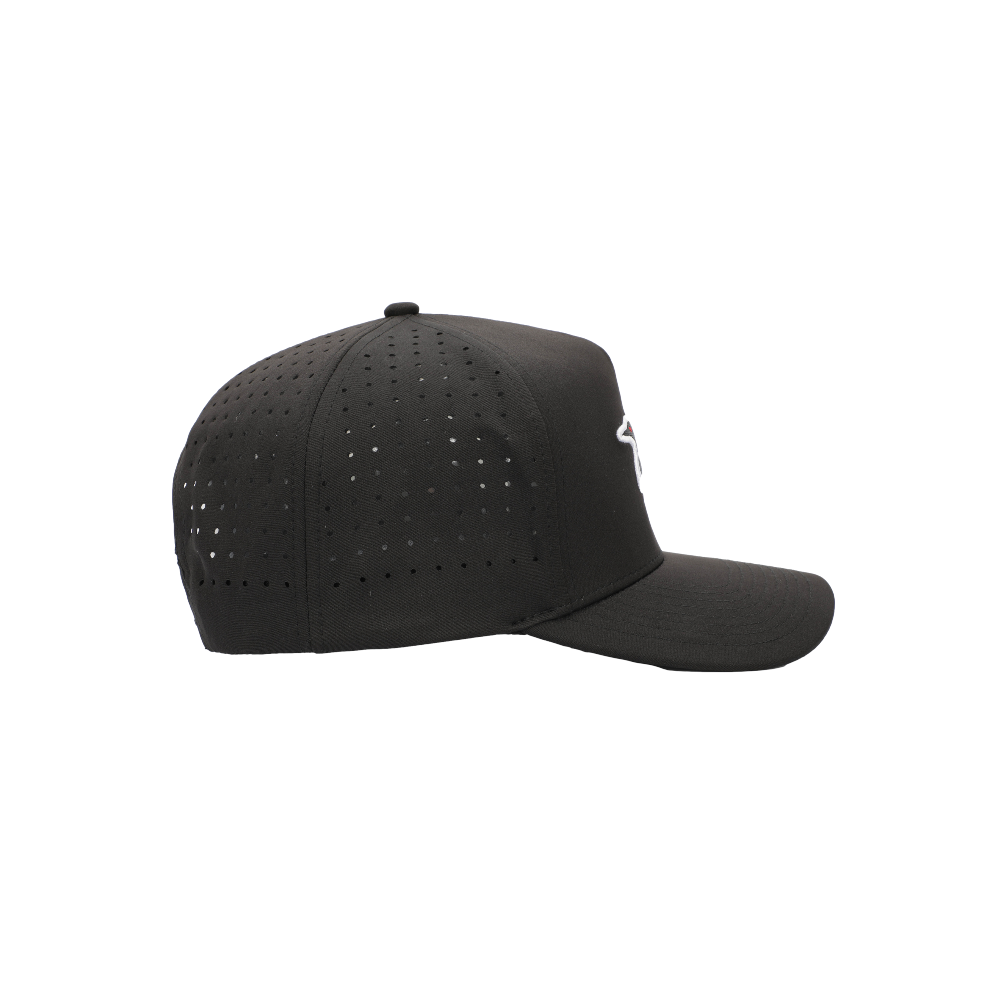 Loon Lake Black Snapback Hat