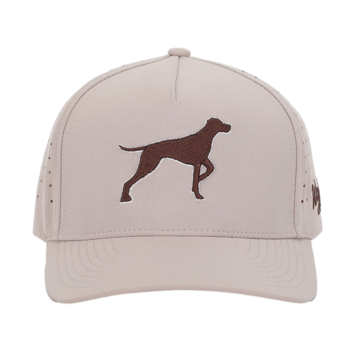 Bird Dog Snapback Hat