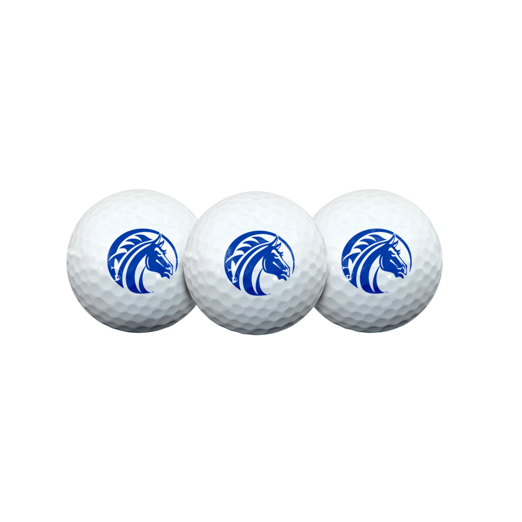 Fayetteville State Broncos Golf Ball 3 Pack