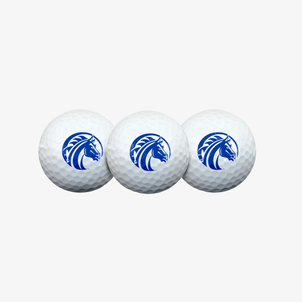 Fayetteville State Broncos Golf Ball 3 Pack