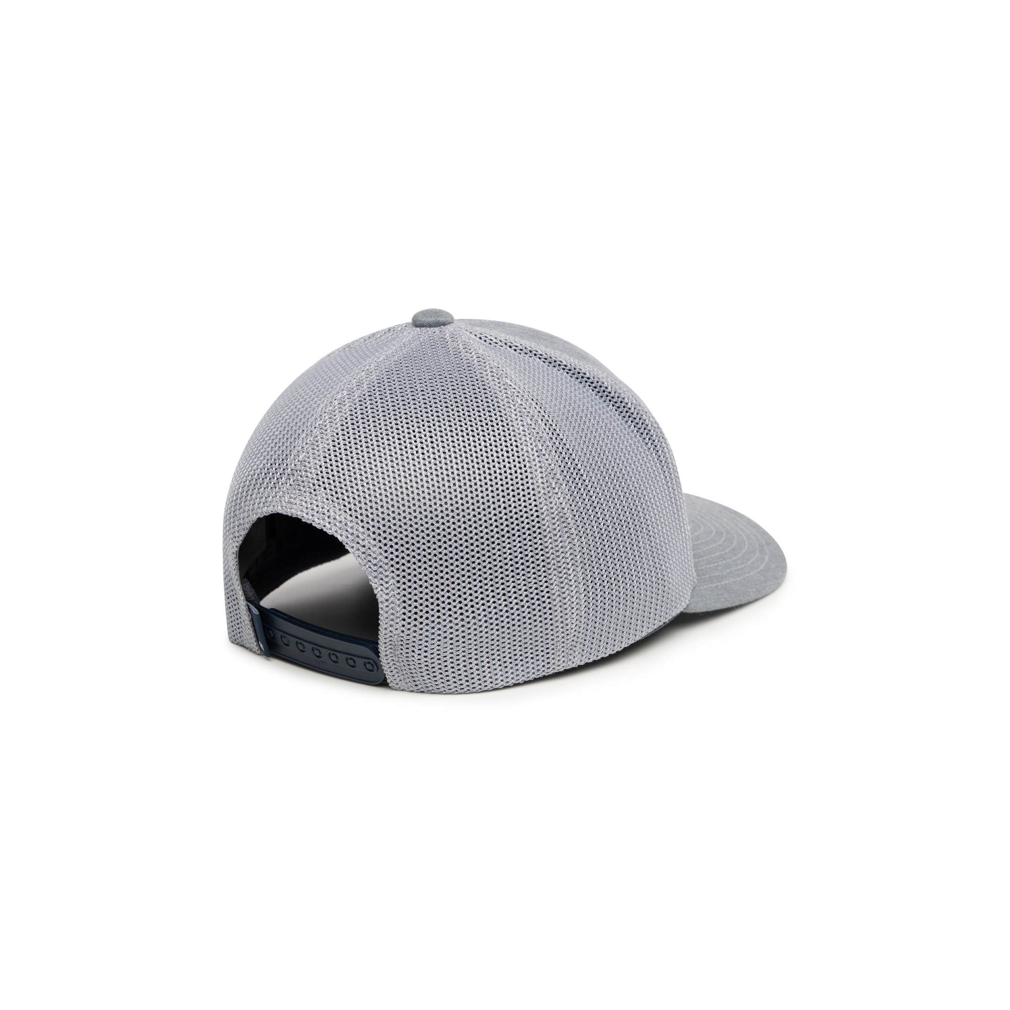 Desert Willow Snapback Hat