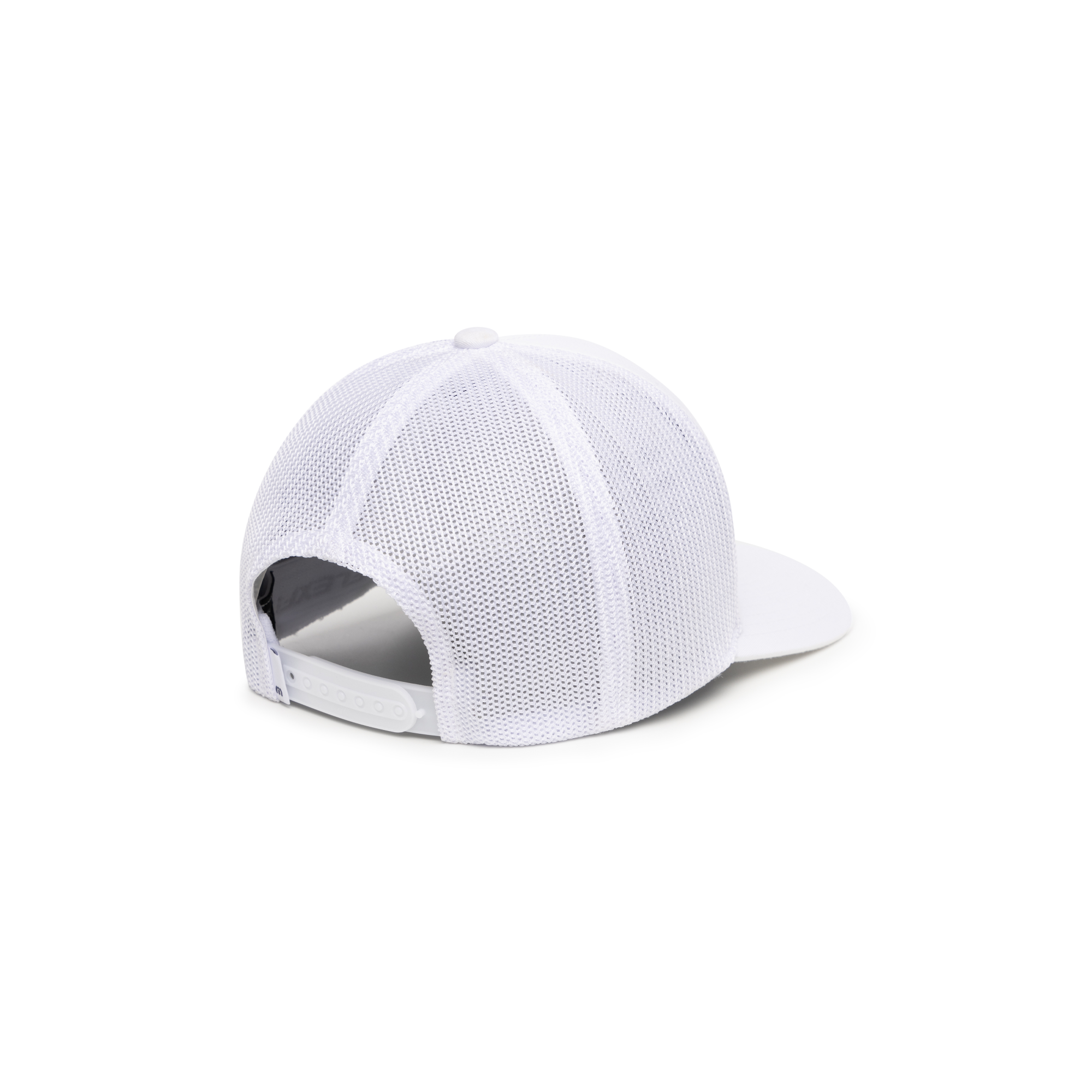 Air Plant Snapback