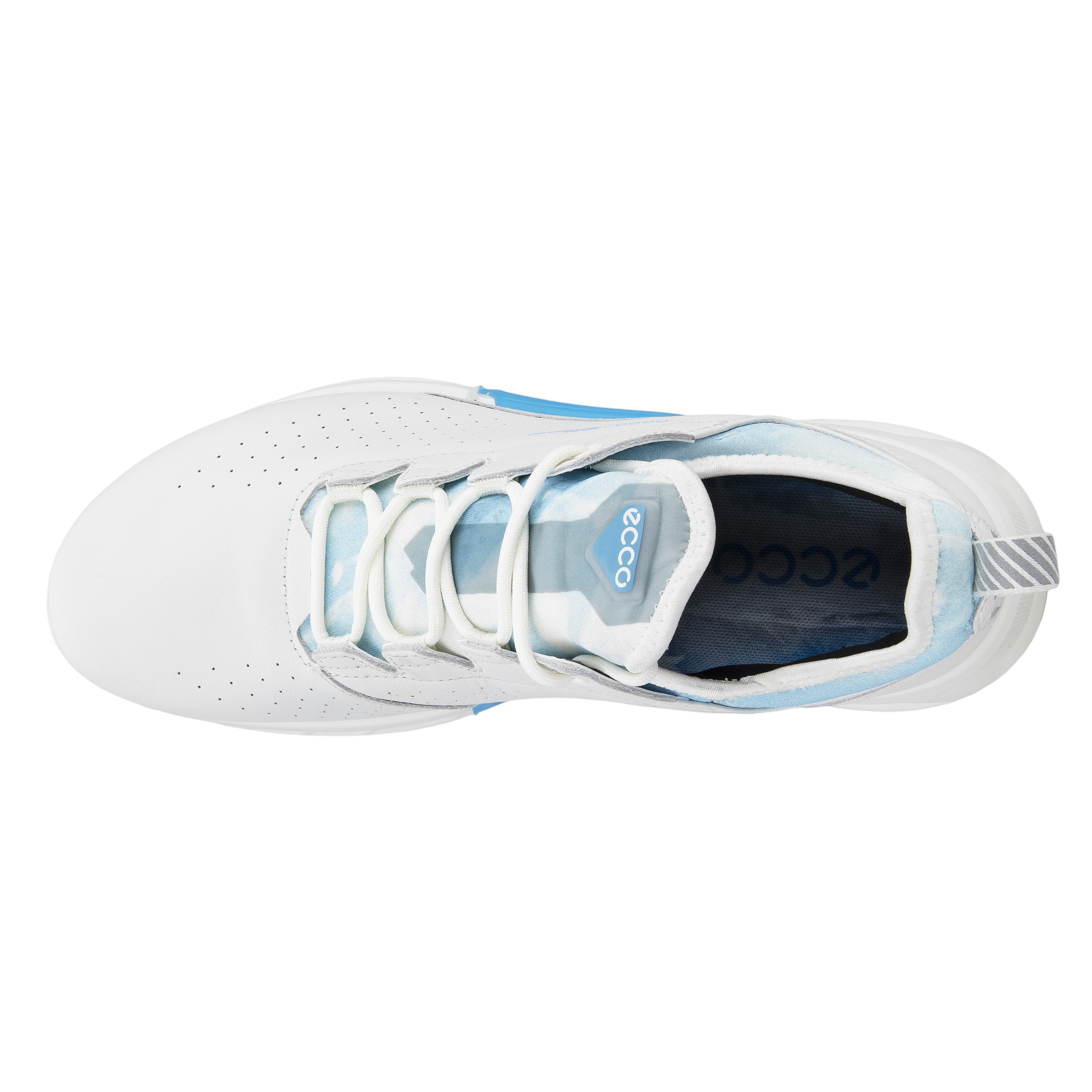 BIOM C4 ICEMAN Edition Men's Golf Shoe