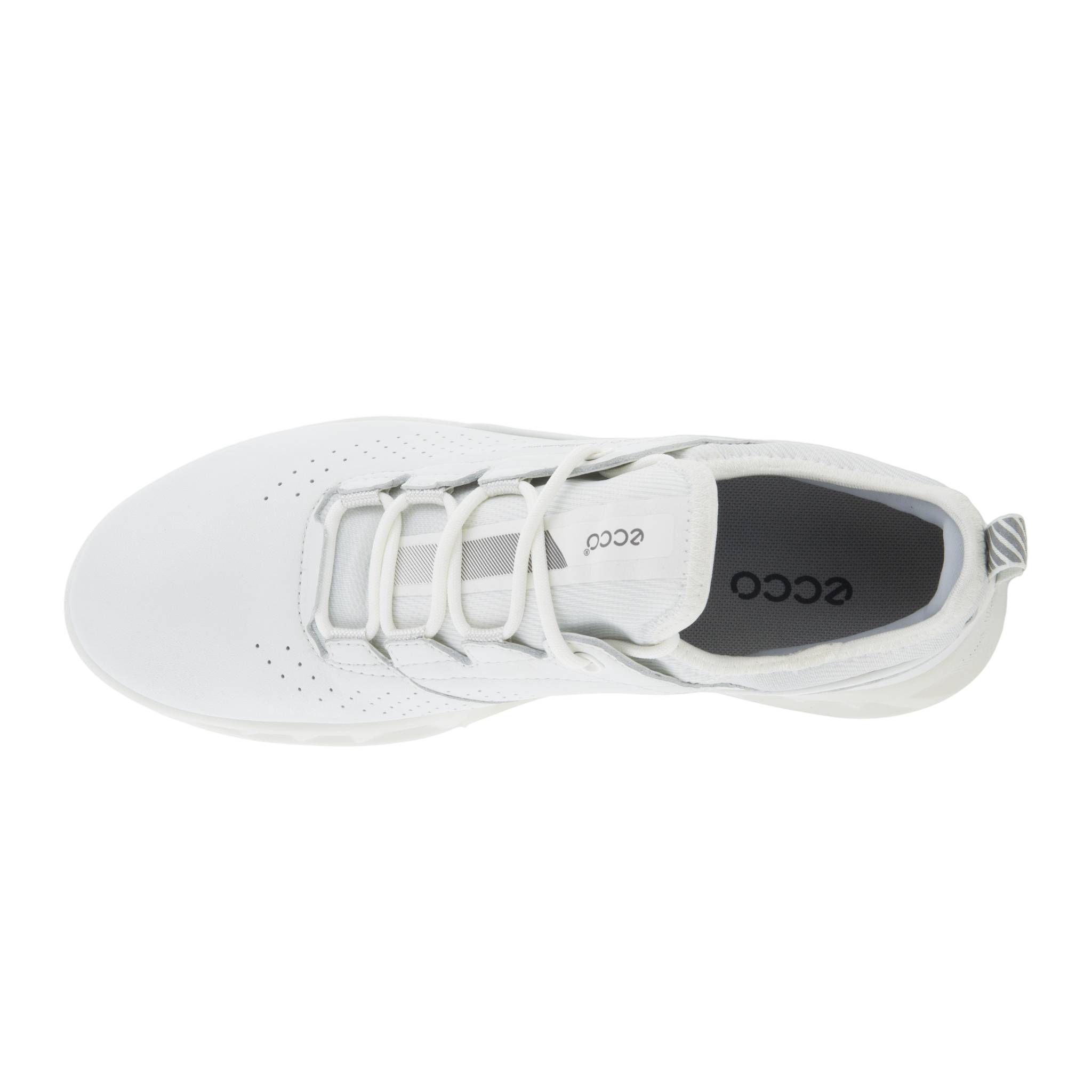 BIOM C4 Women's Spikeless Golf Shoes