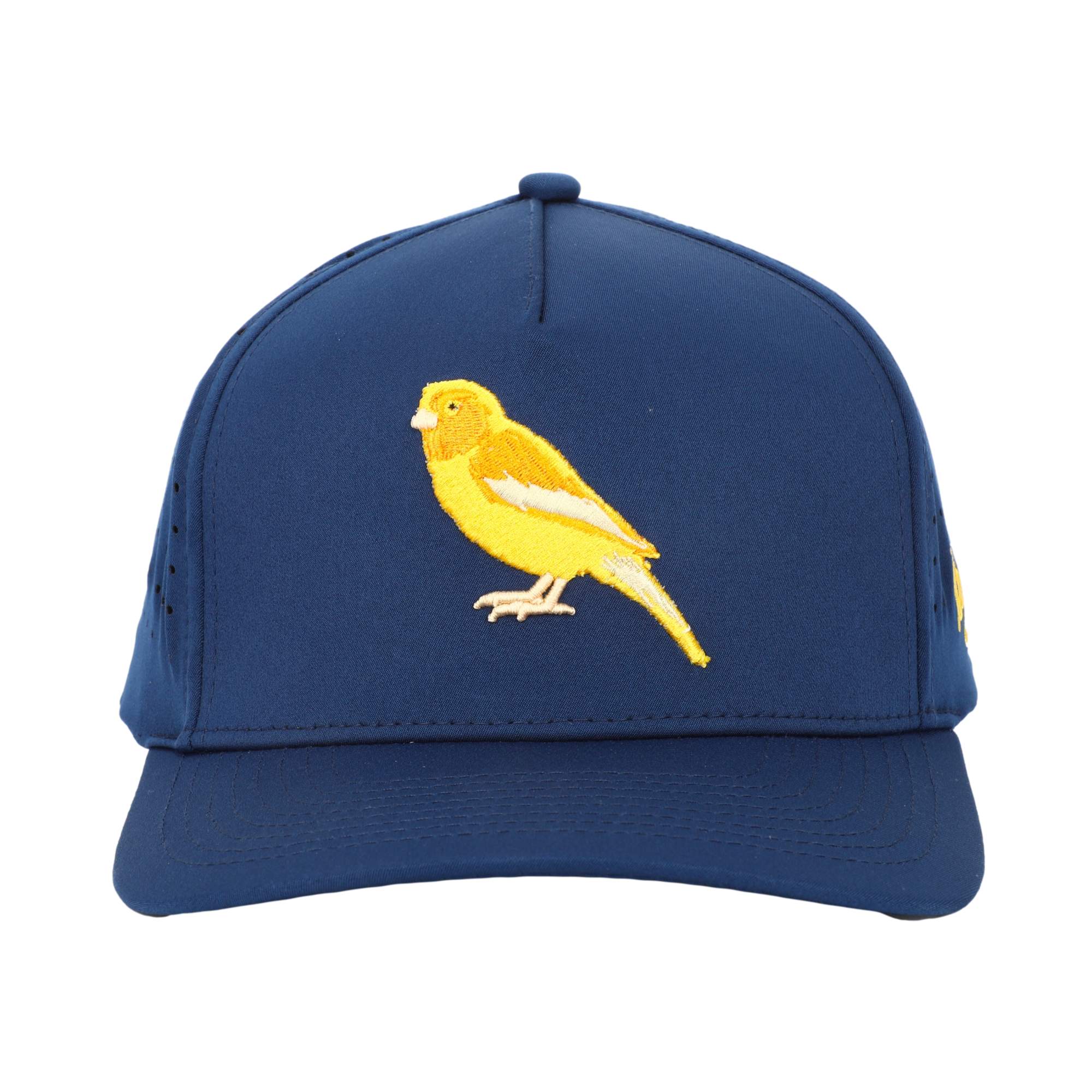Birdie Snapback Hat