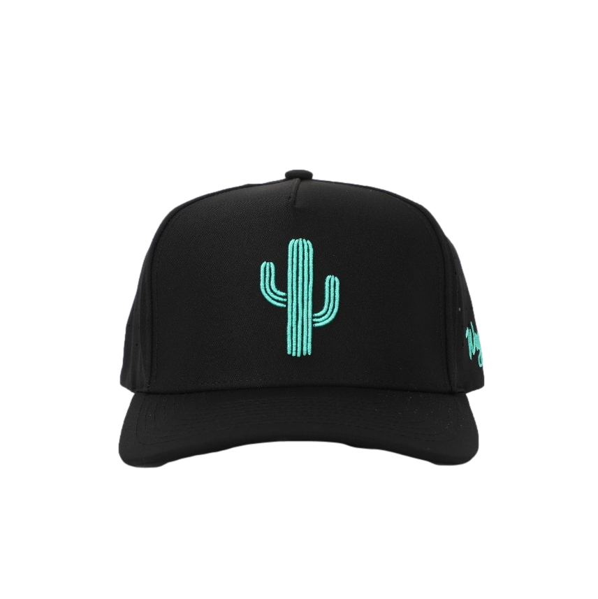 Cactus Prick Snapback Hat