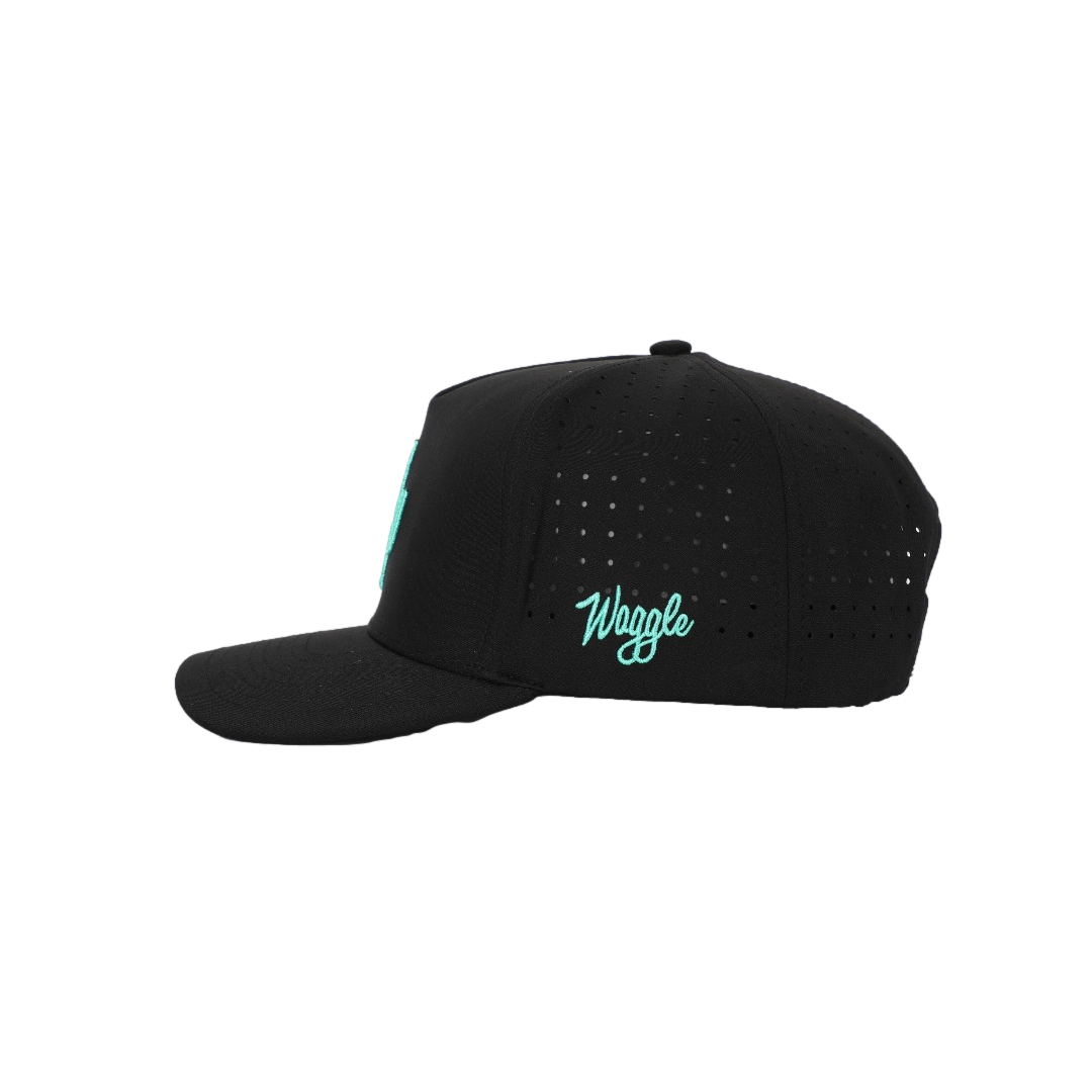 Cactus Prick Snapback Hat
