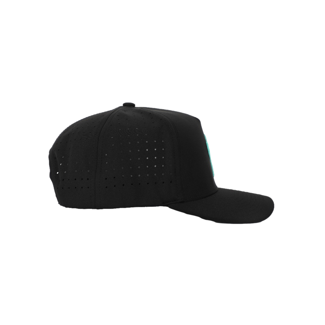 Cactus Prick Snapback Hat