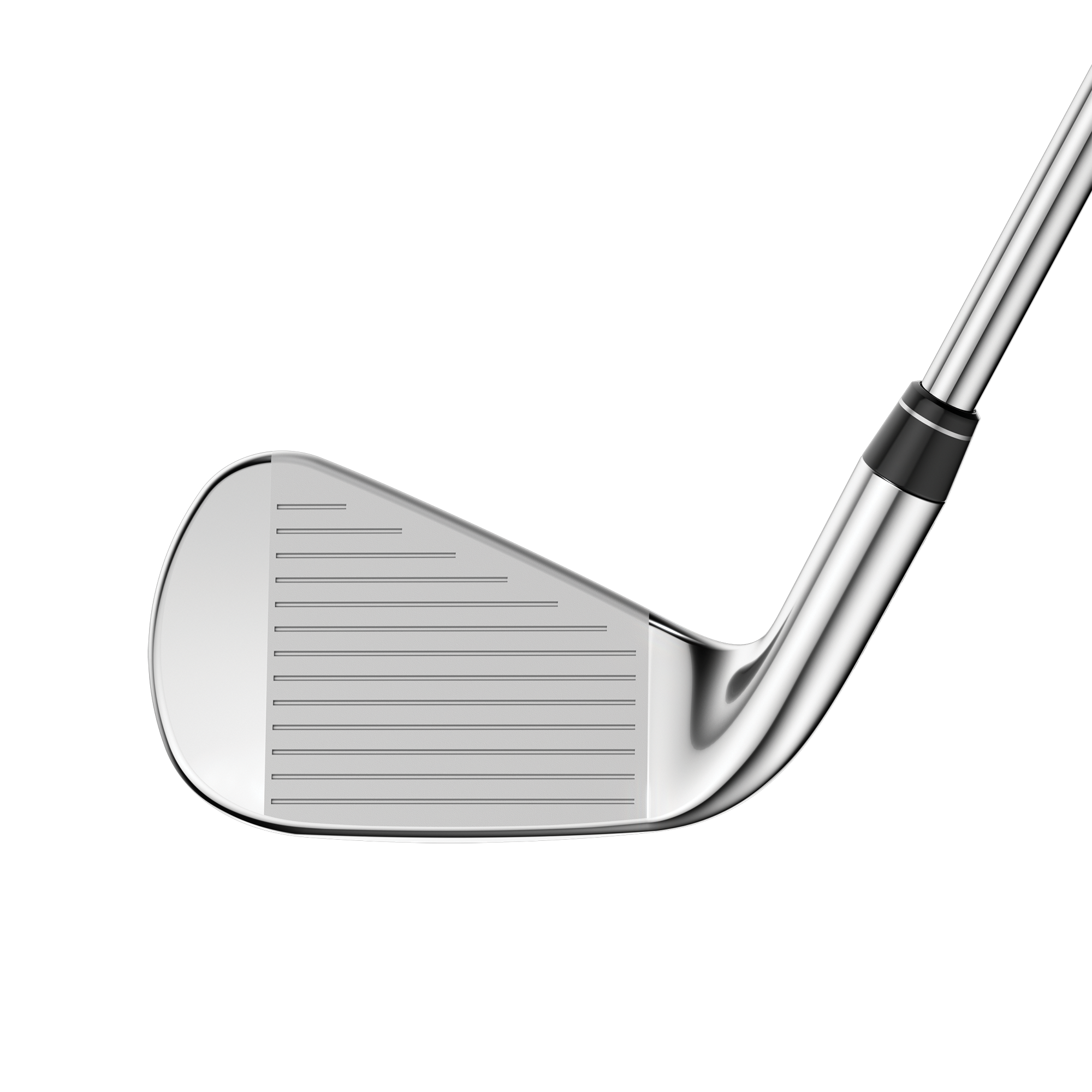 Paradym Irons w/ Graphite Shafts