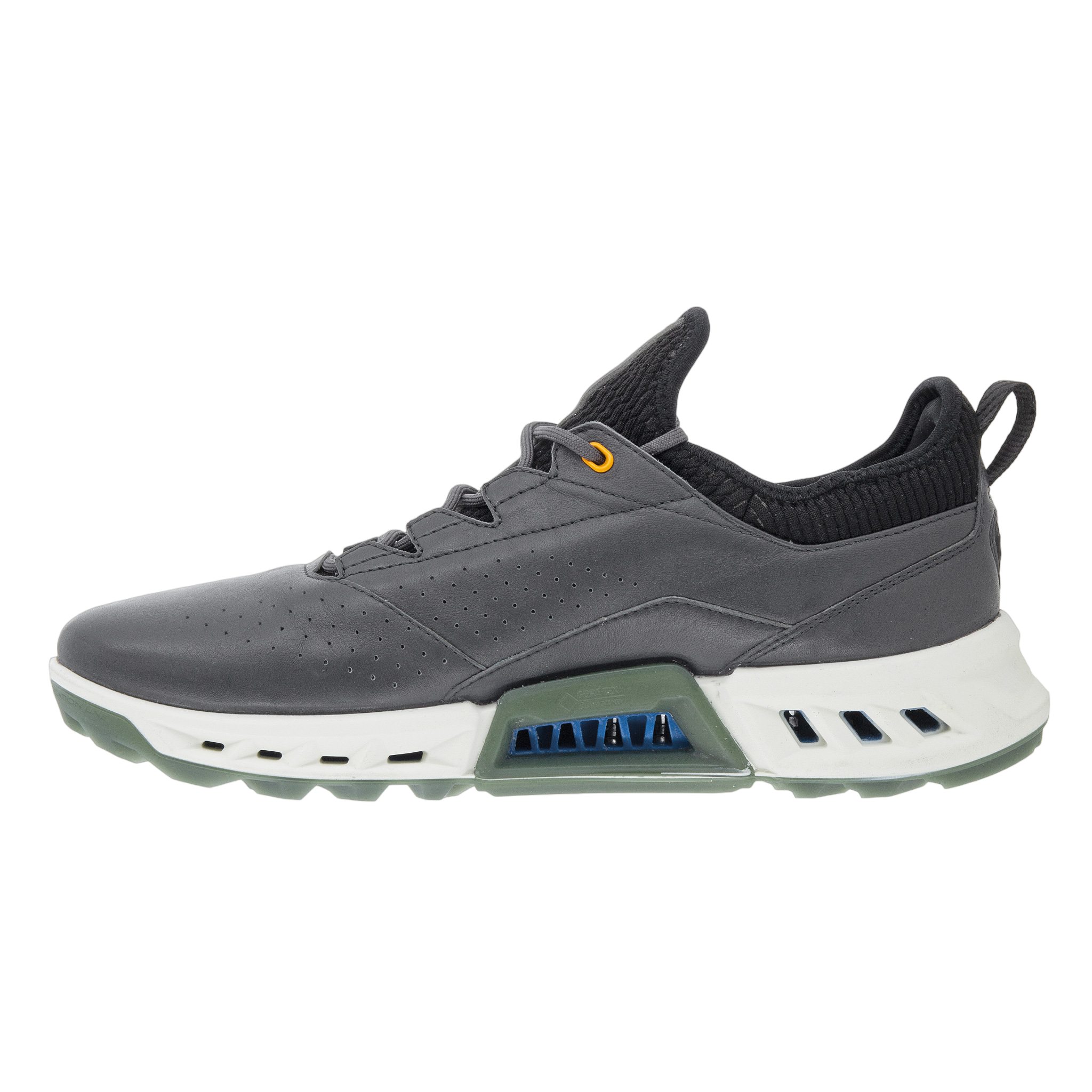 BIOM C4 Men's Golf Shoe