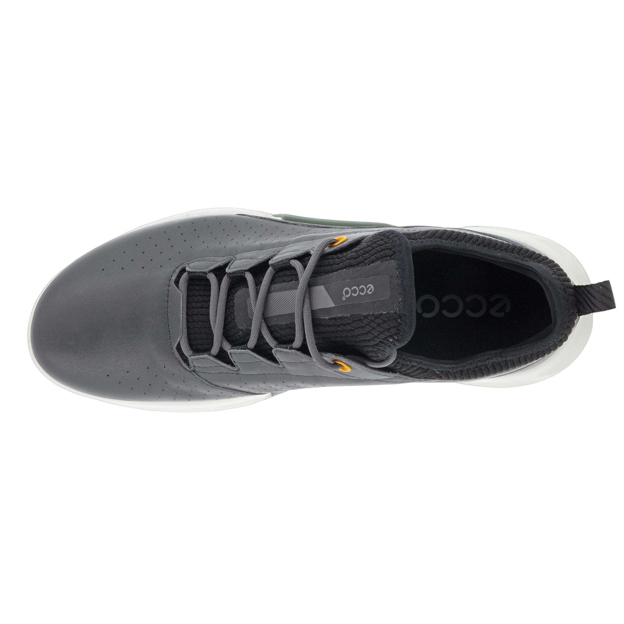 BIOM C4 Men's Golf Shoe