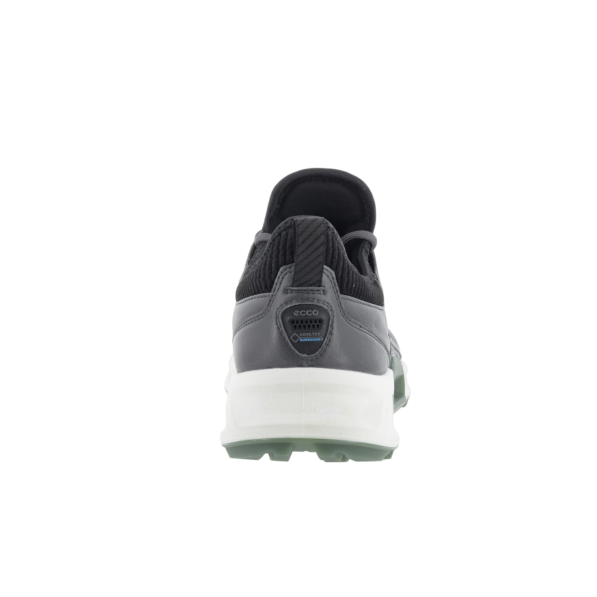BIOM C4 Men's Golf Shoe