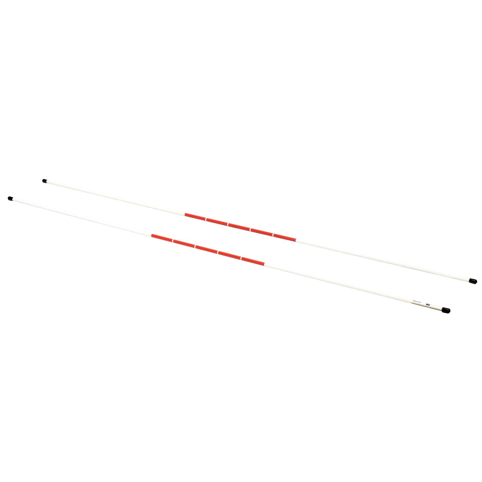 Pro Stix Alignment Poles