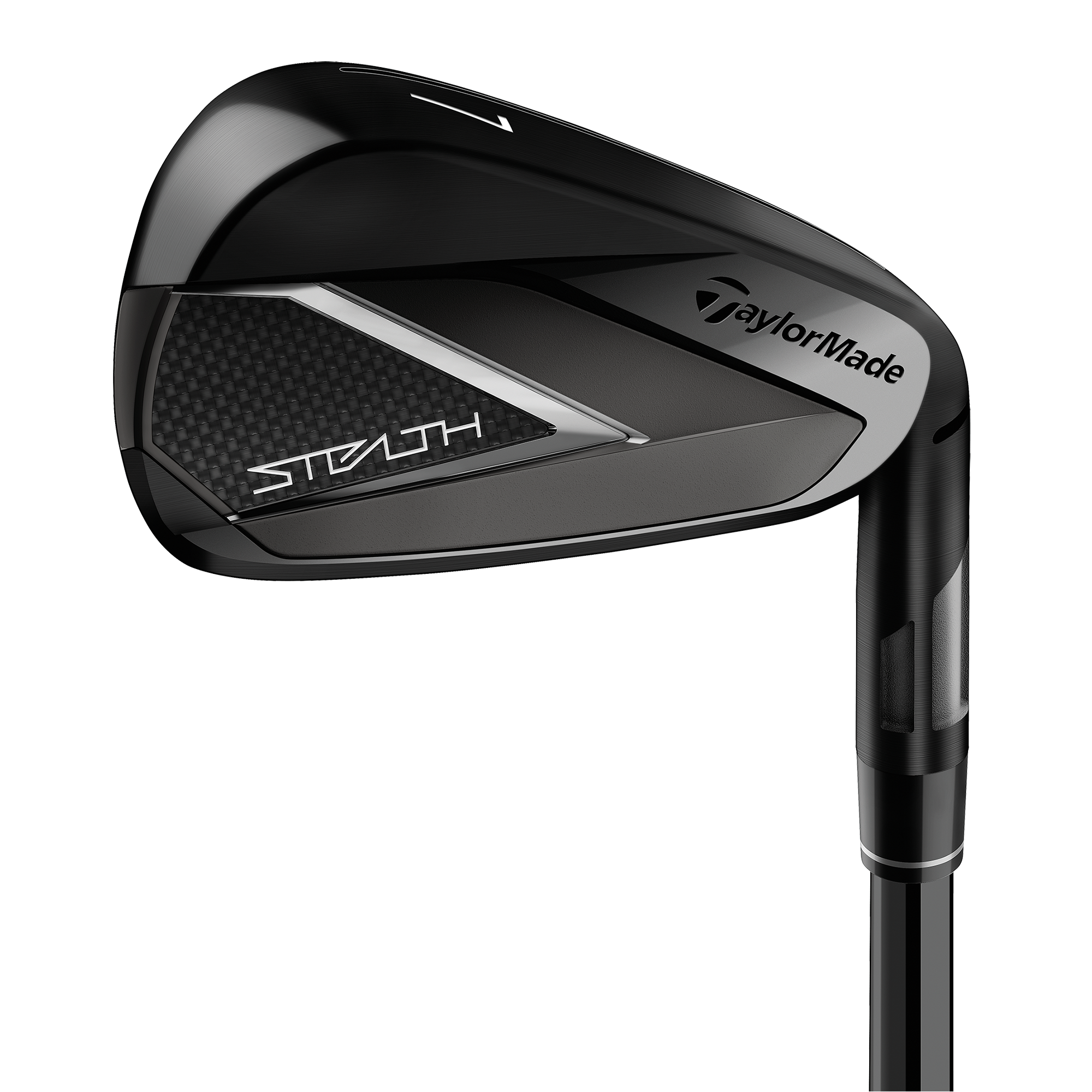 Stealth Black Irons w/ Steel Shafts