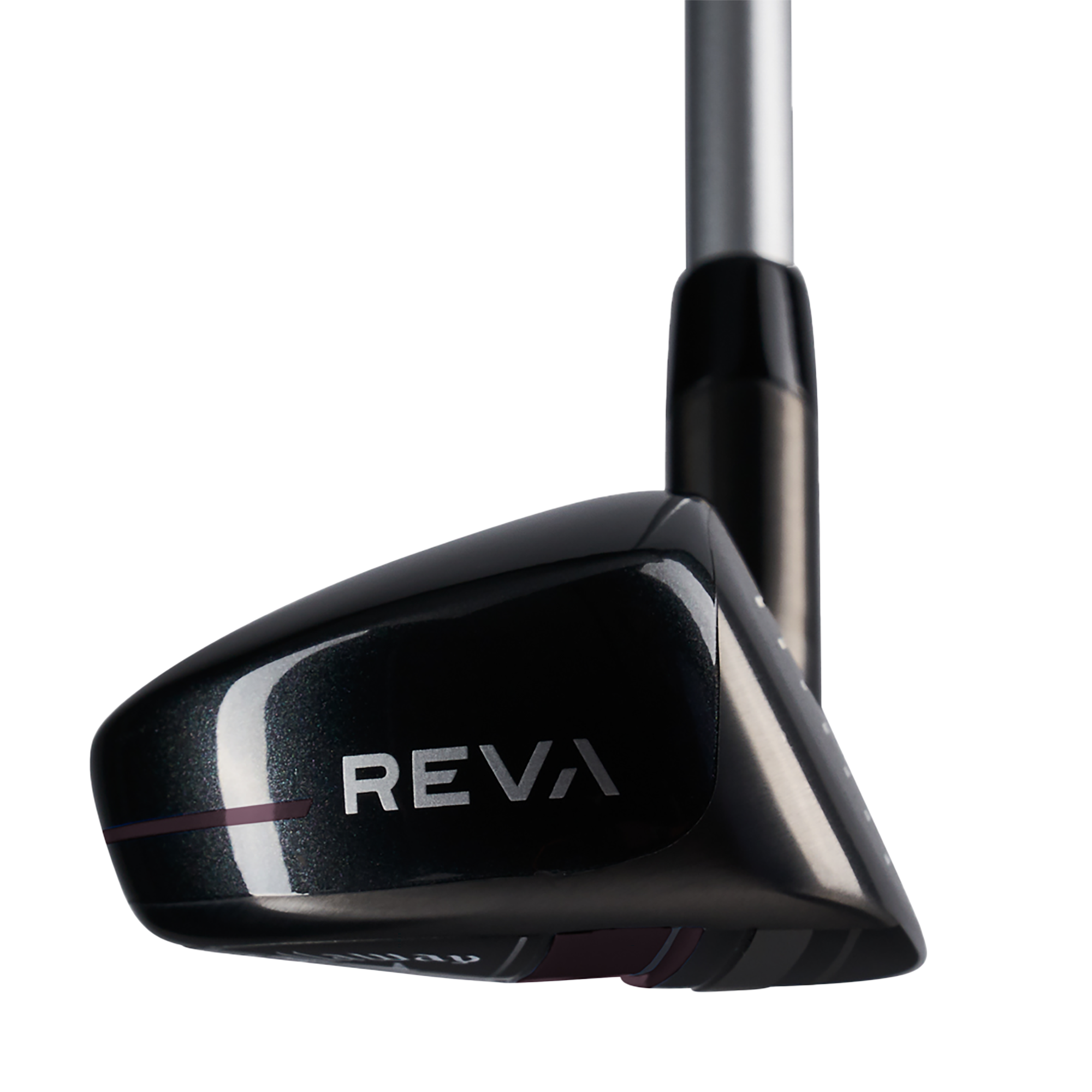 REVA 11-Piece Complete Set