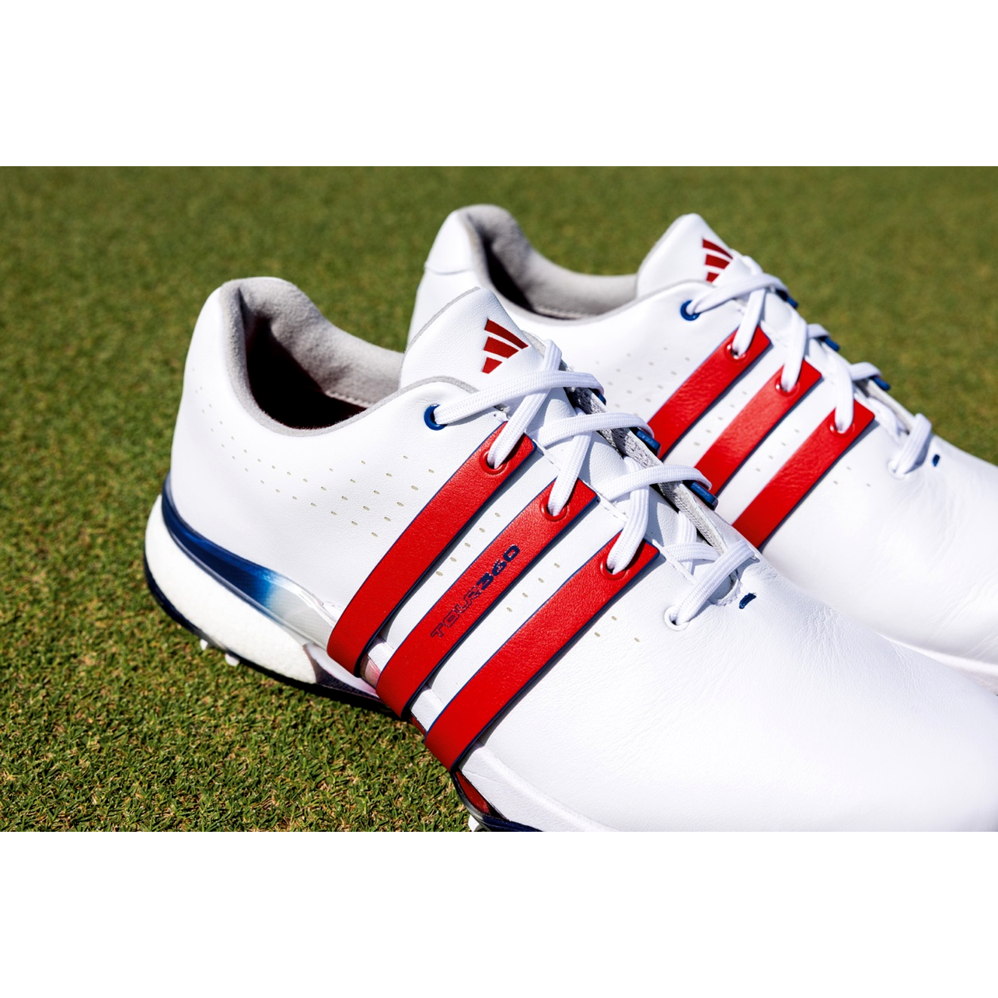 TOUR360 '24 Boost Men's Golf Shoe