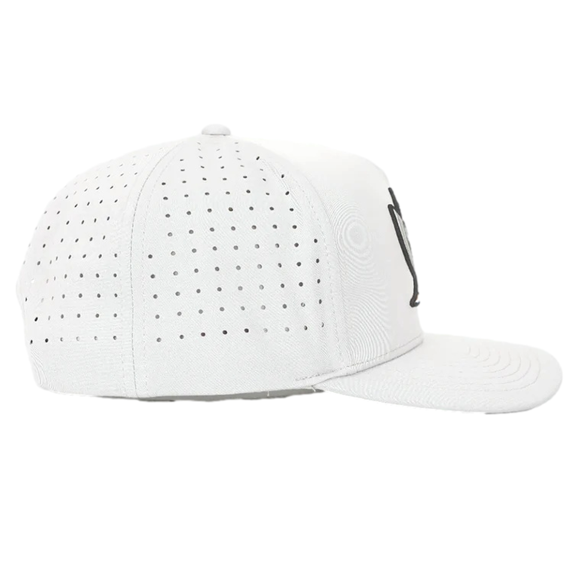 Decoy Hat