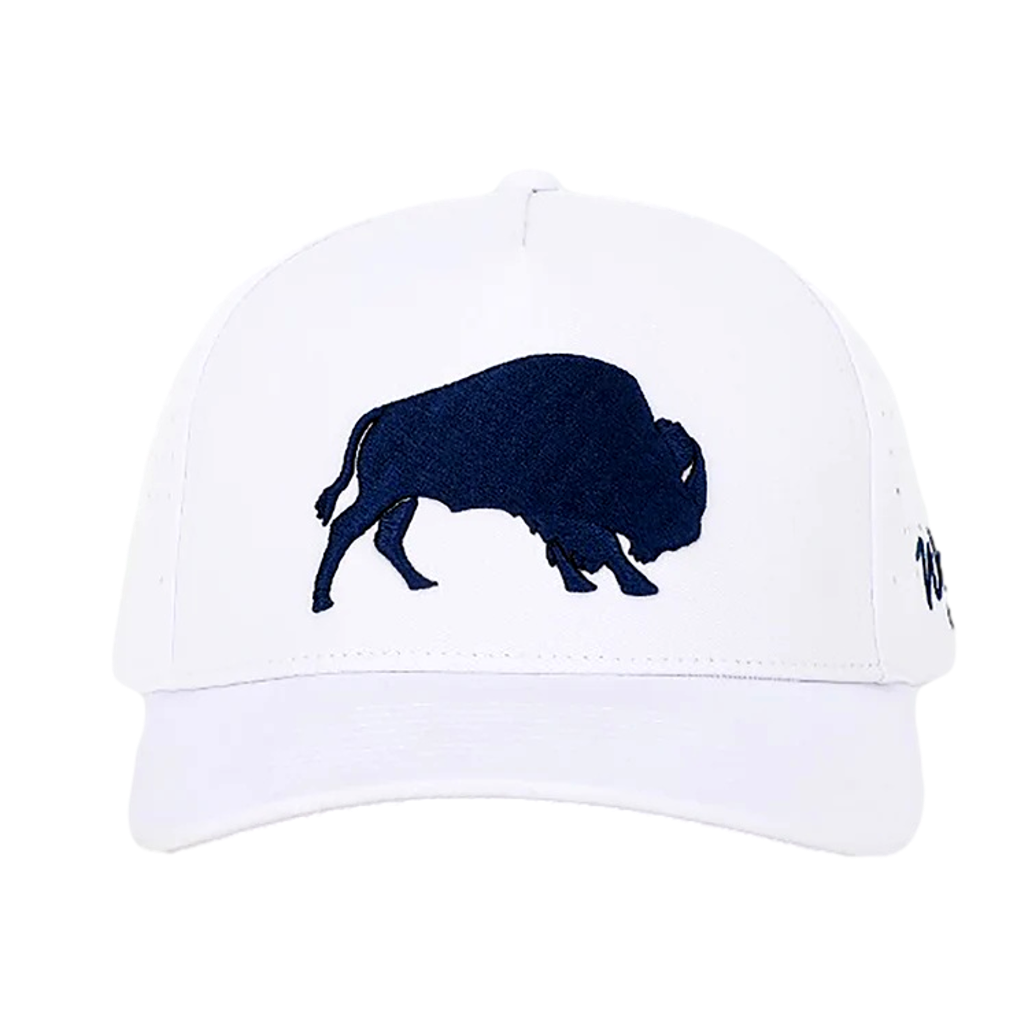 Raging Bison Hat