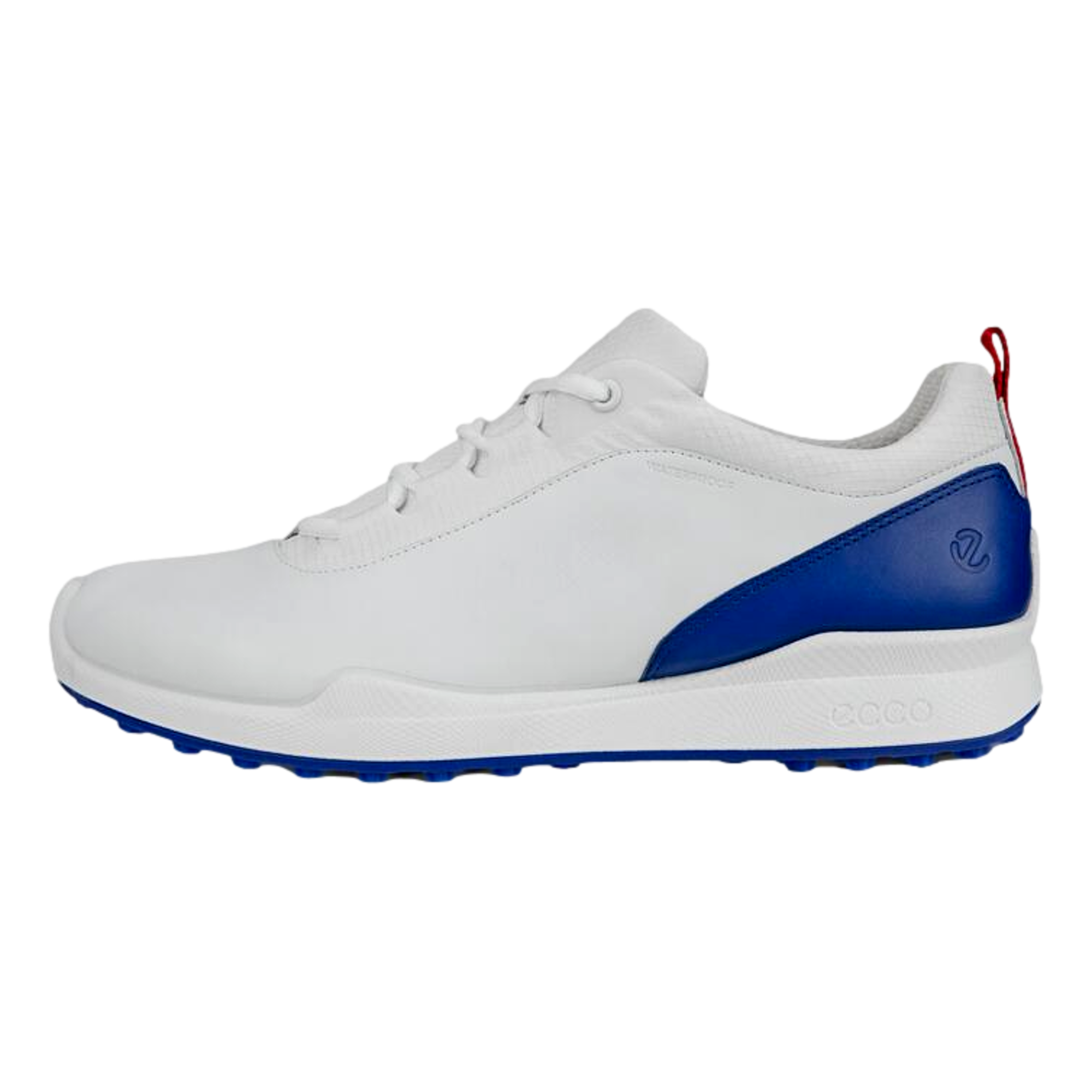 Biom Hybrid BNY Men's Golf Shoe