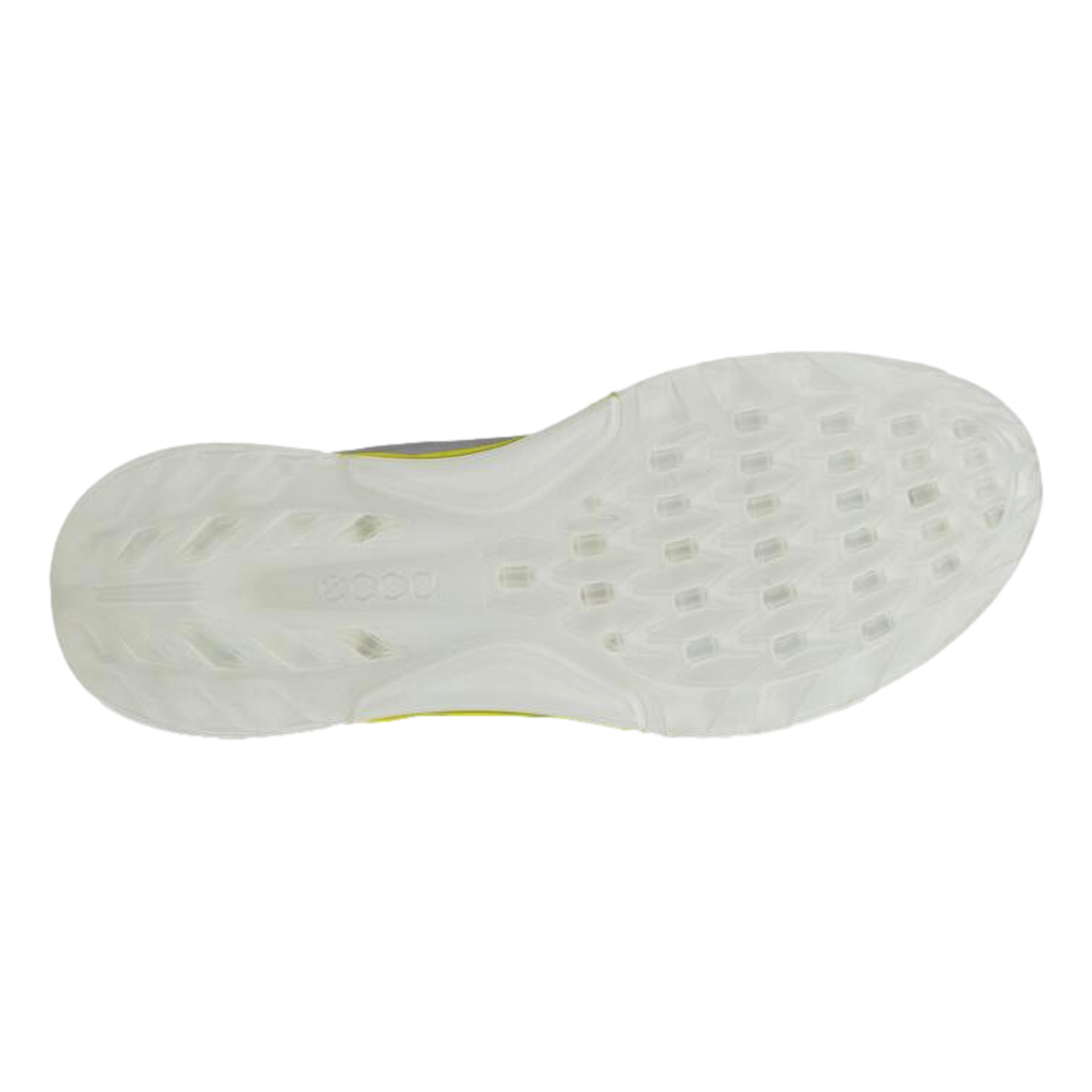 BIOM C4 Men's Golf Shoe