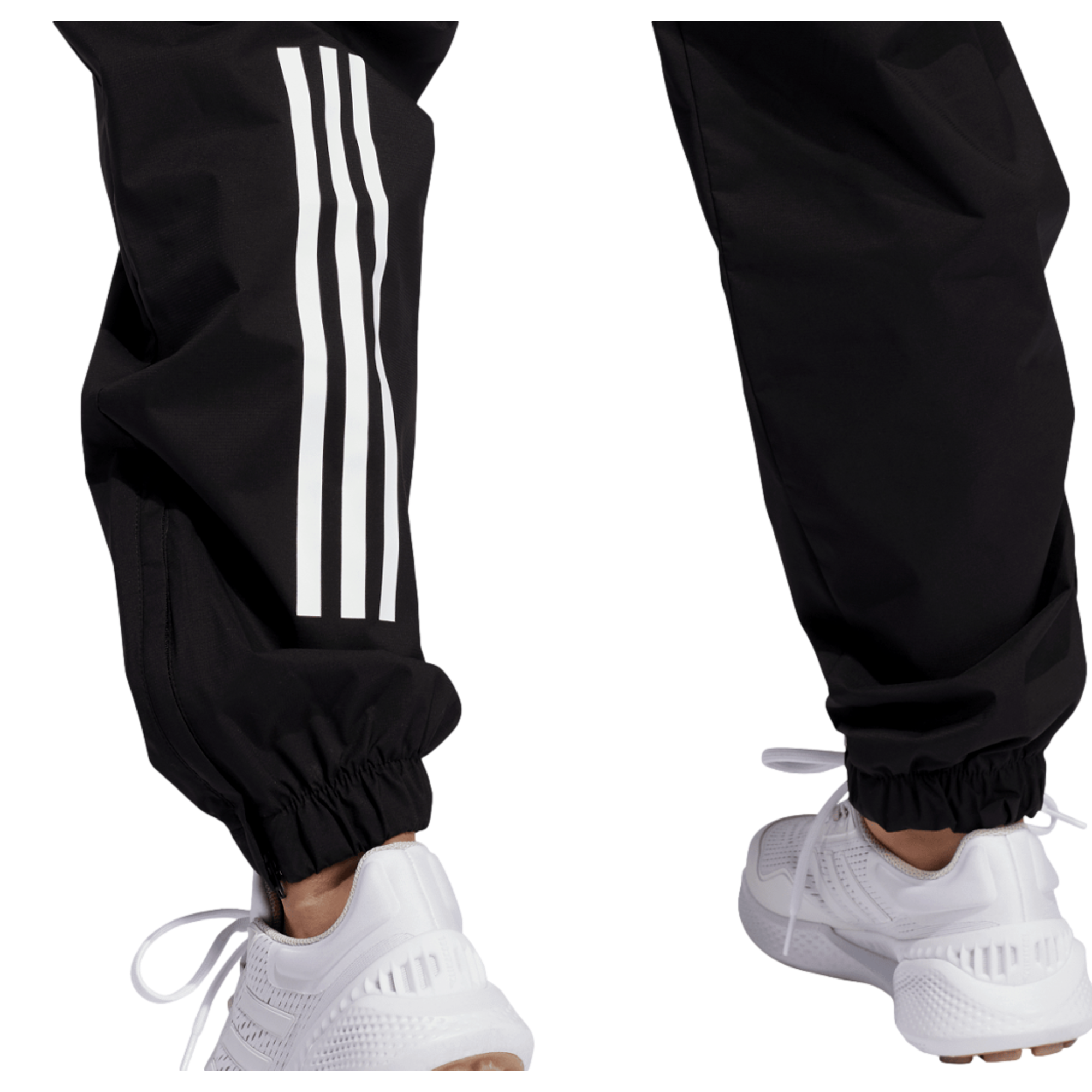 Provisional Women's Golf Pants