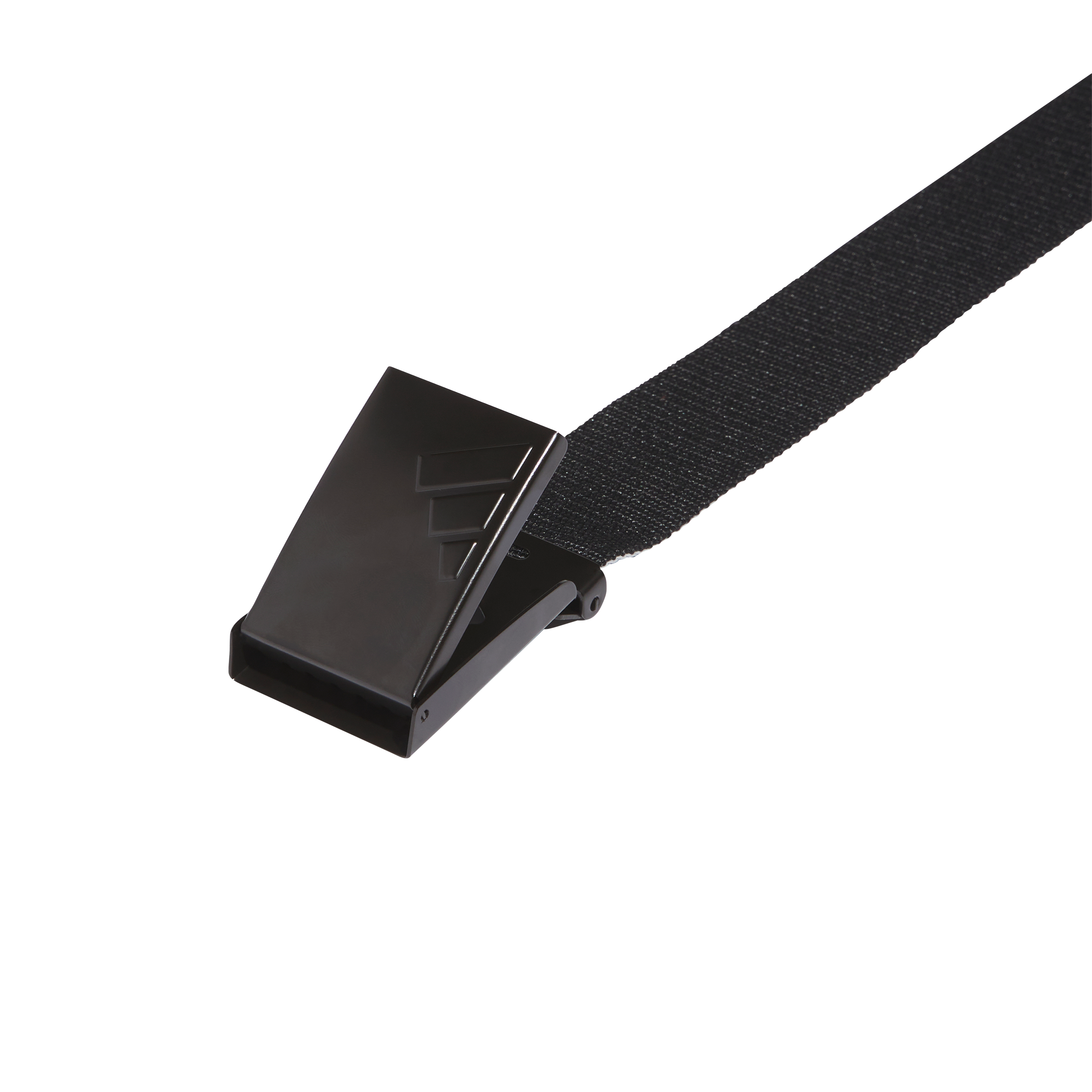 Reversible Web Belt