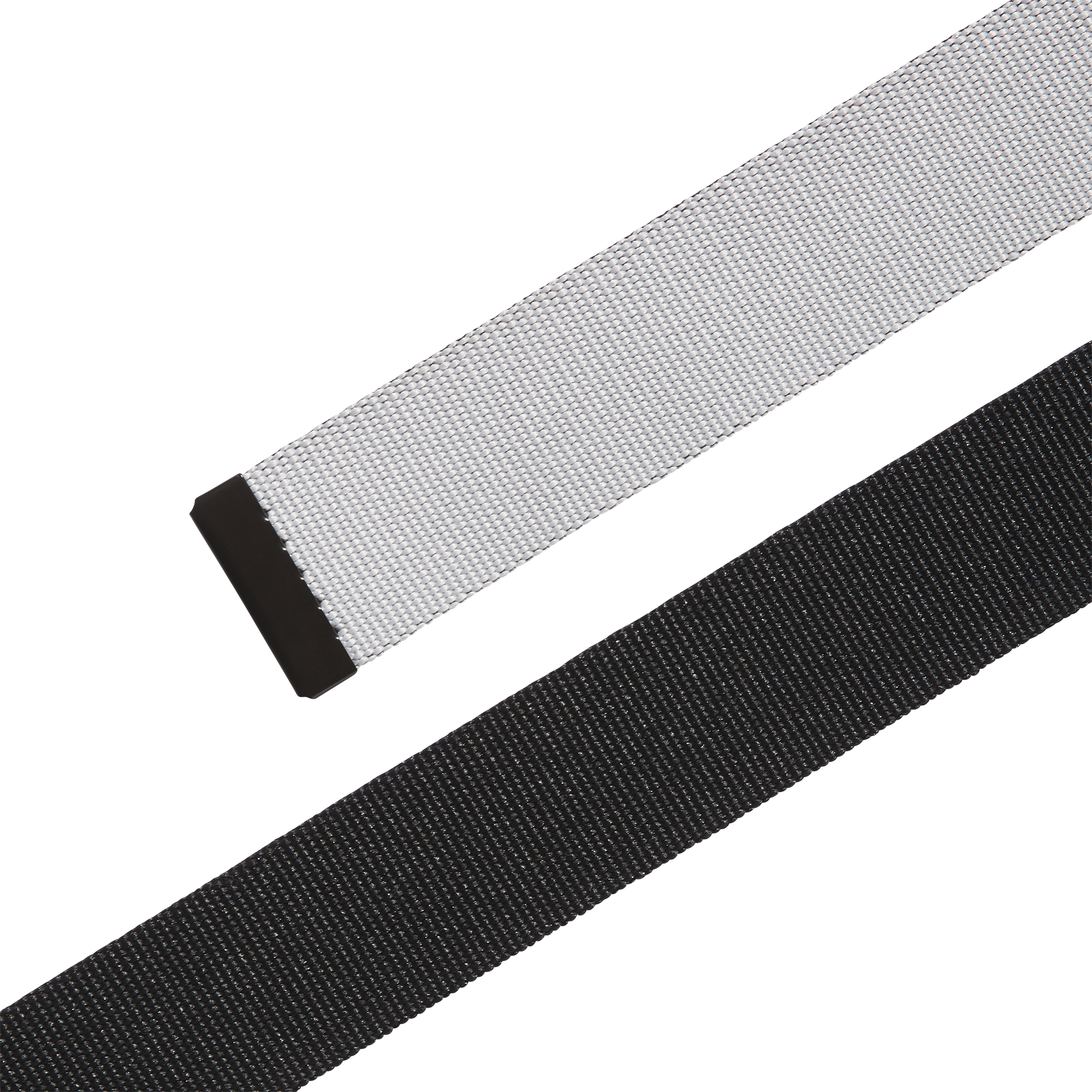 Reversible Web Belt