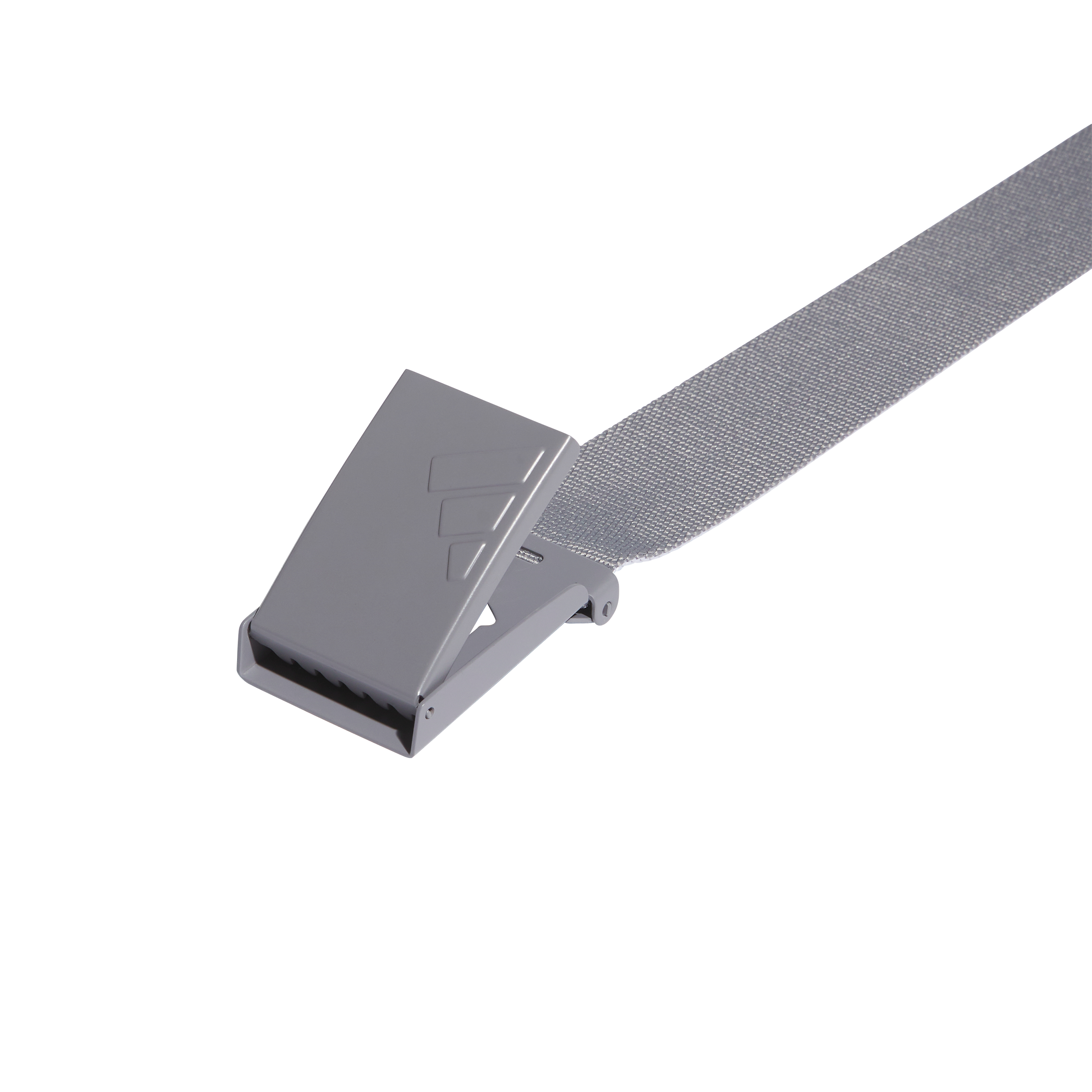 Reversible Web Belt