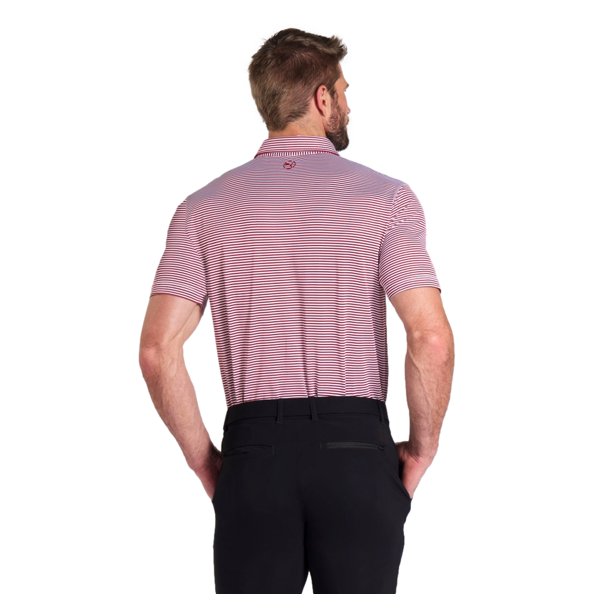 Isle Pique Polo Shirt