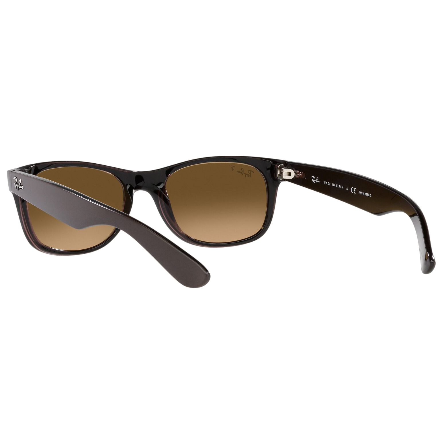 New Wayfarer Classic Polarized Sunglasses