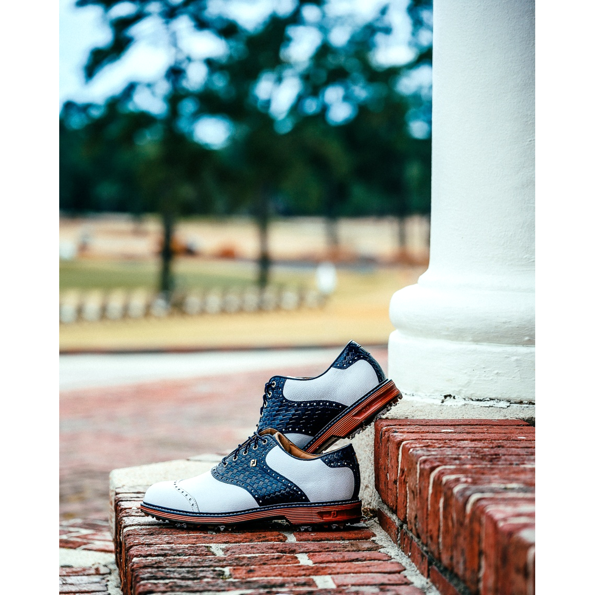 Premiere Series Wilcox Limited Edition Men's Golf Shoe