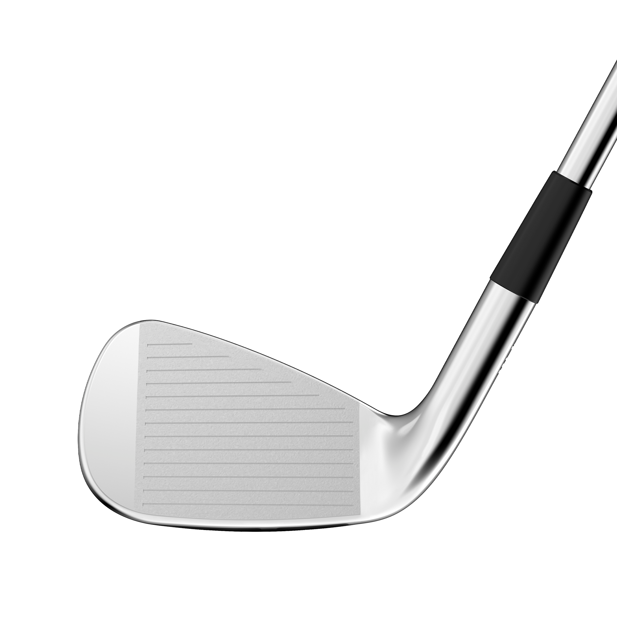 Dynapower Forged Irons w/ Steel Shafts
