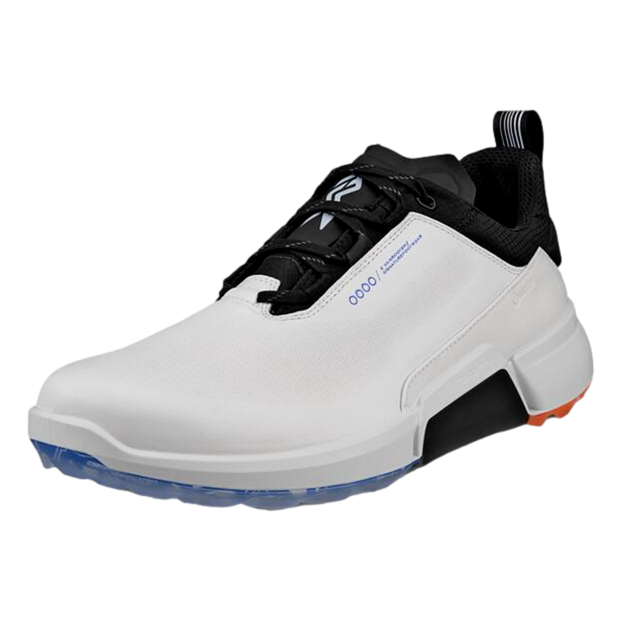 Biom H4 EVR Edition Men's Golf Shoe