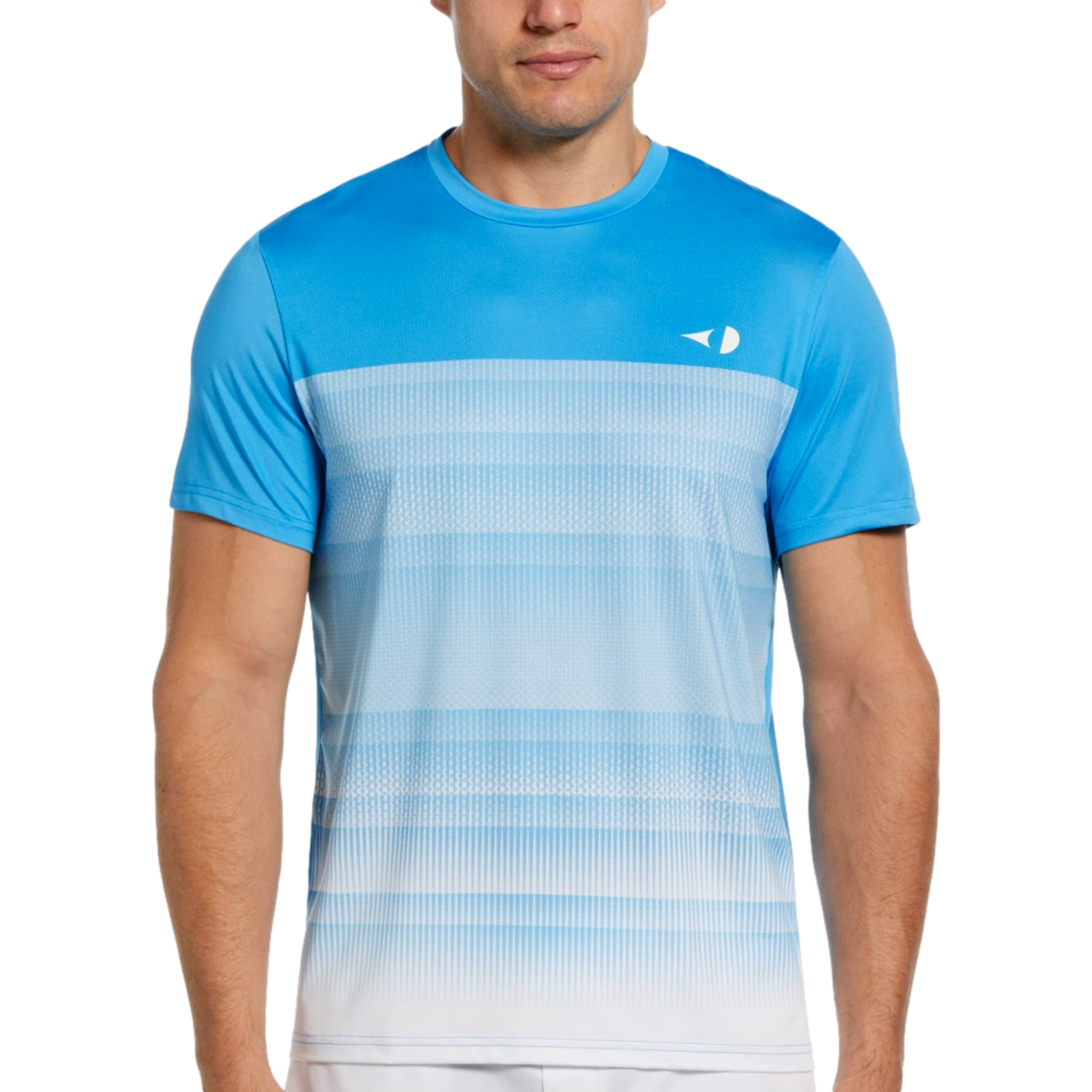 Gradient Stripe Tee