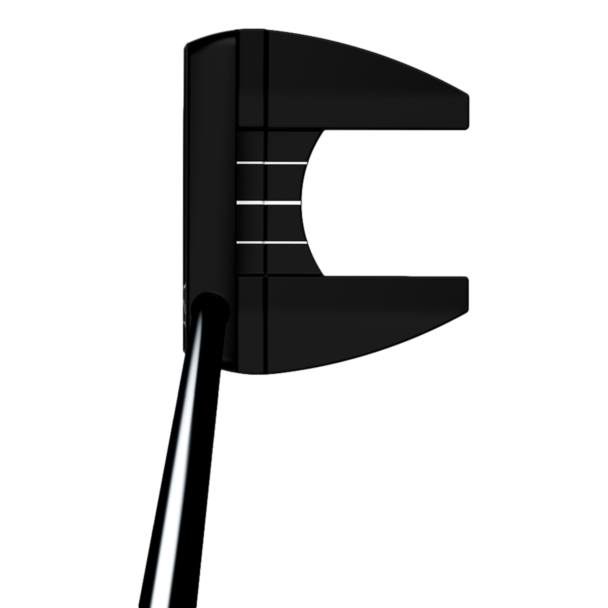 Bucktown Infinite 2024 Putter