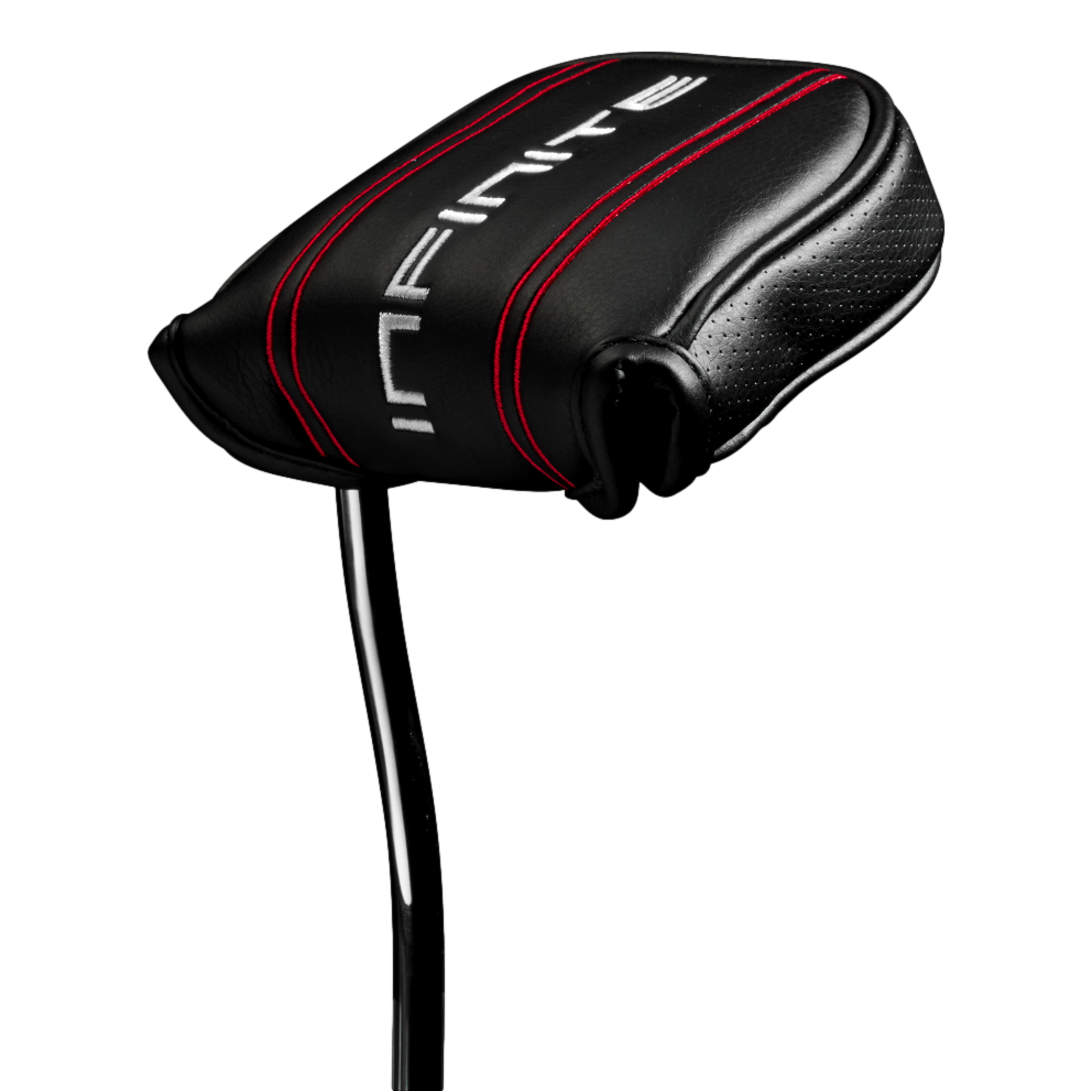 Bucktown Infinite 2024 Putter