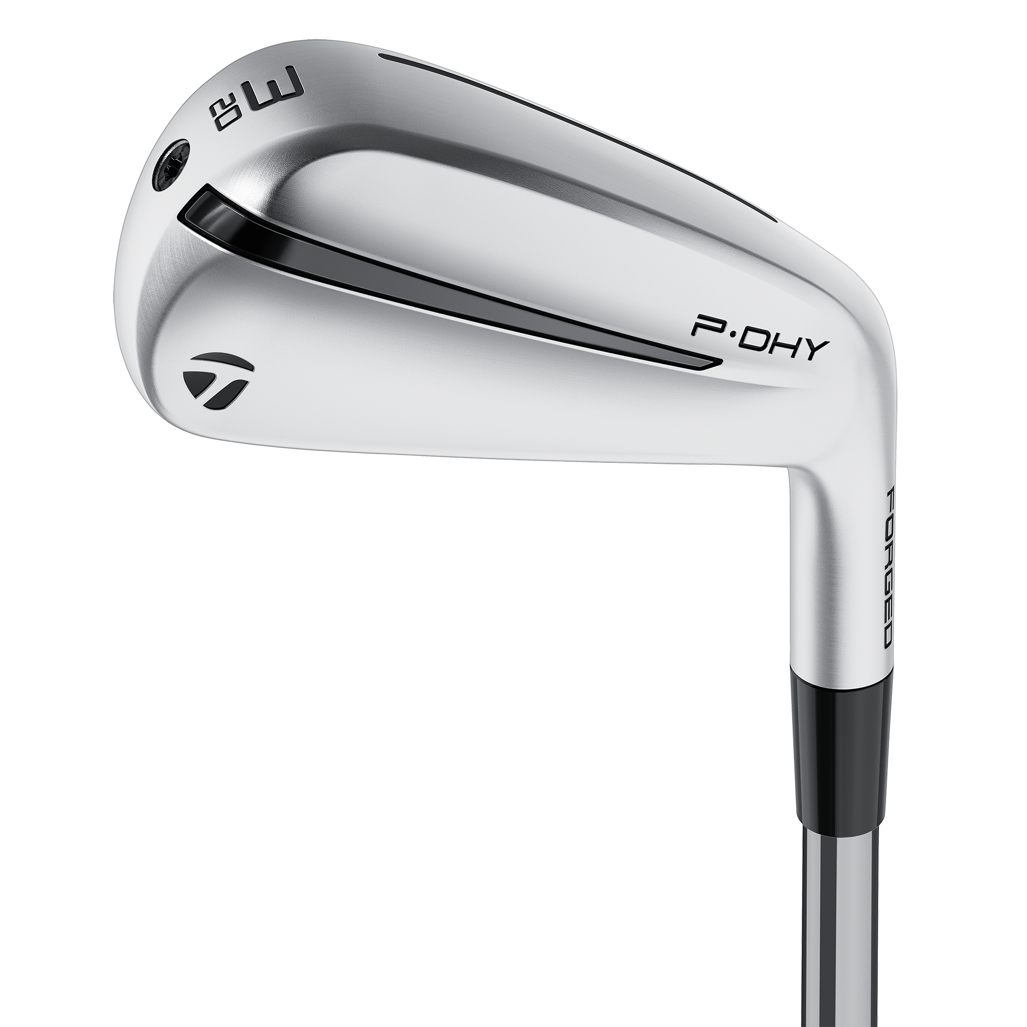 P•DHY w/ Graphite Shaft