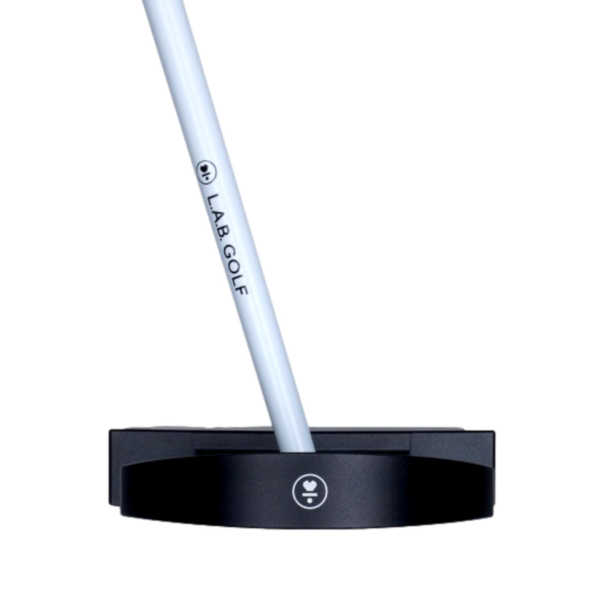 DF3 Custom Armlock Putter
