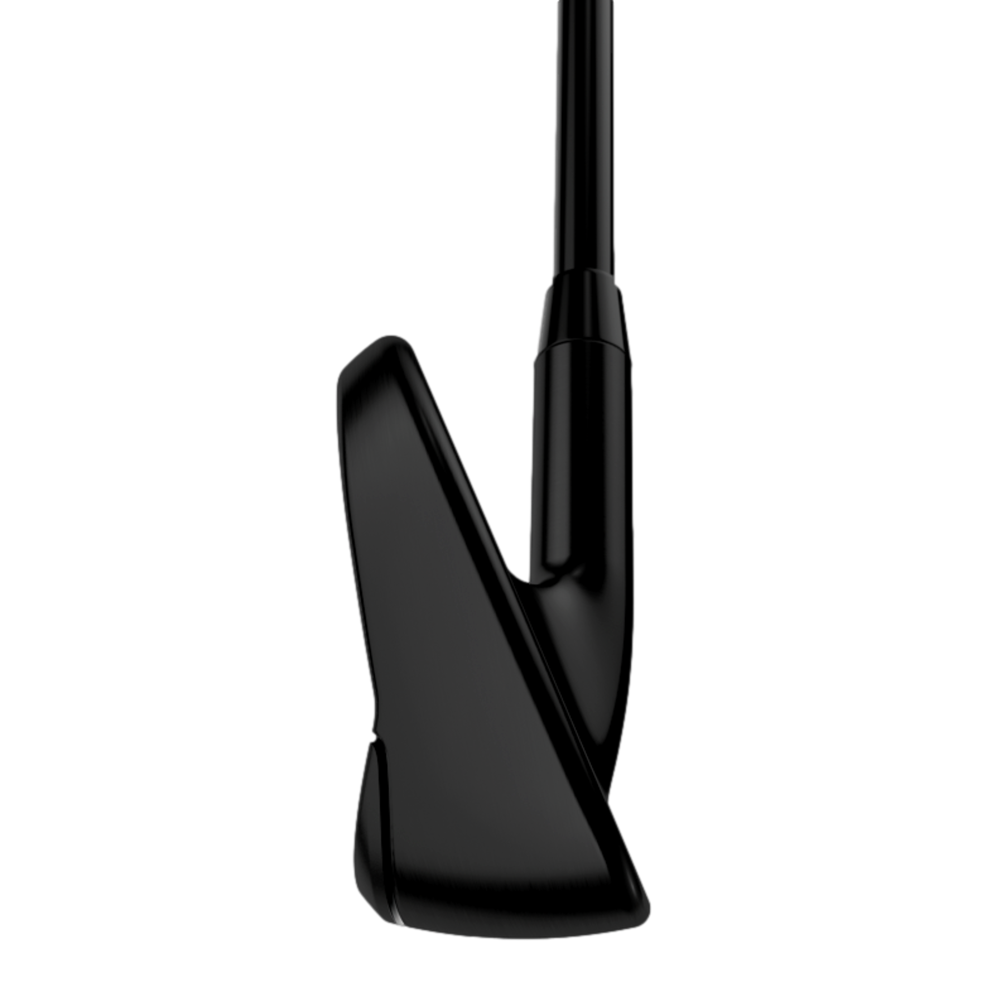 Paradym Ai Smoke Black Irons w/ Steel Shafts